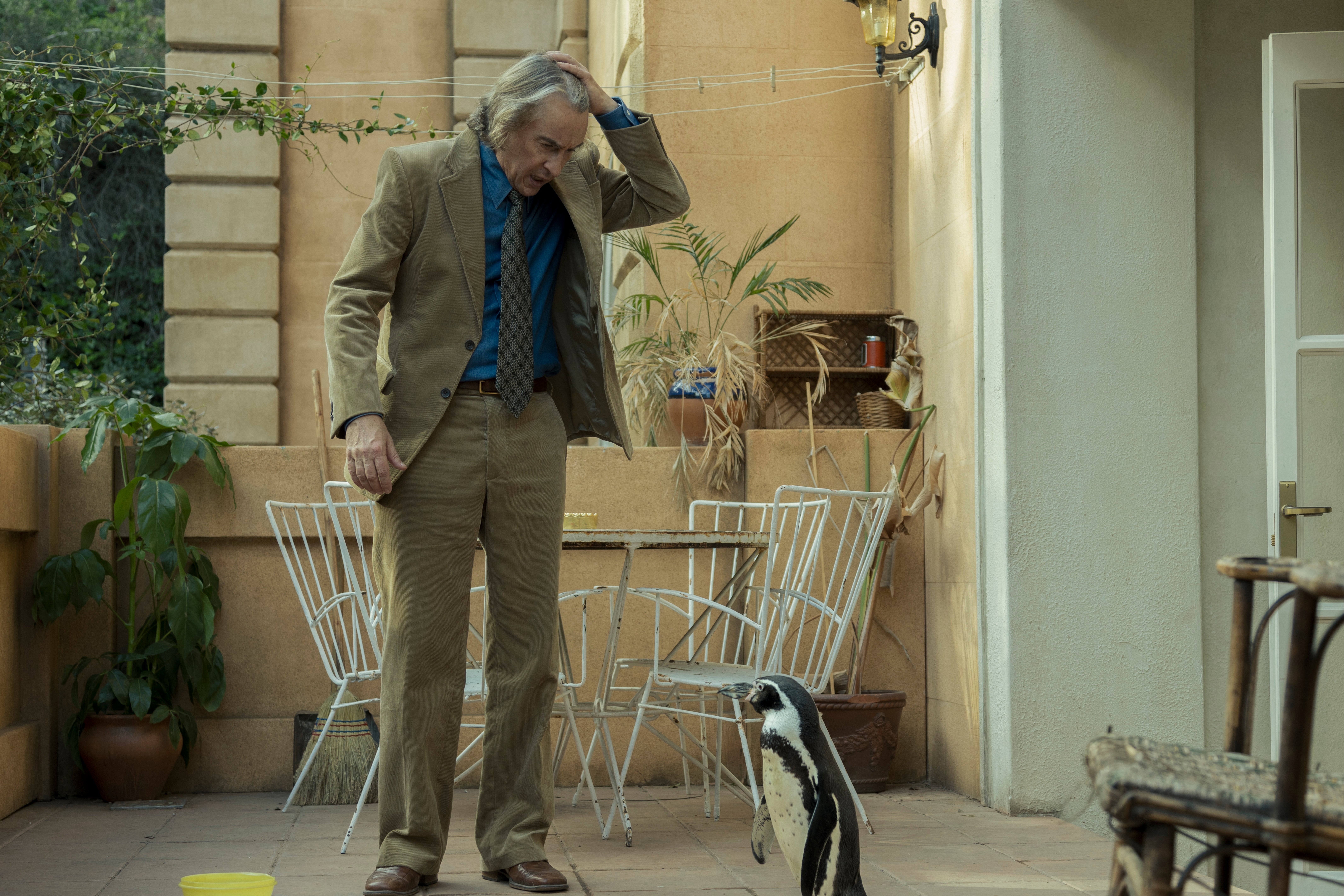 An odd pair: Steve Coogan as Tom Michell with a penguin in ‘The Penguin Lessons’