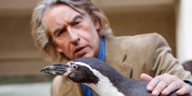 <p>The bird is the word: Steve Coogan in ‘The Penguin Lessons’</p>