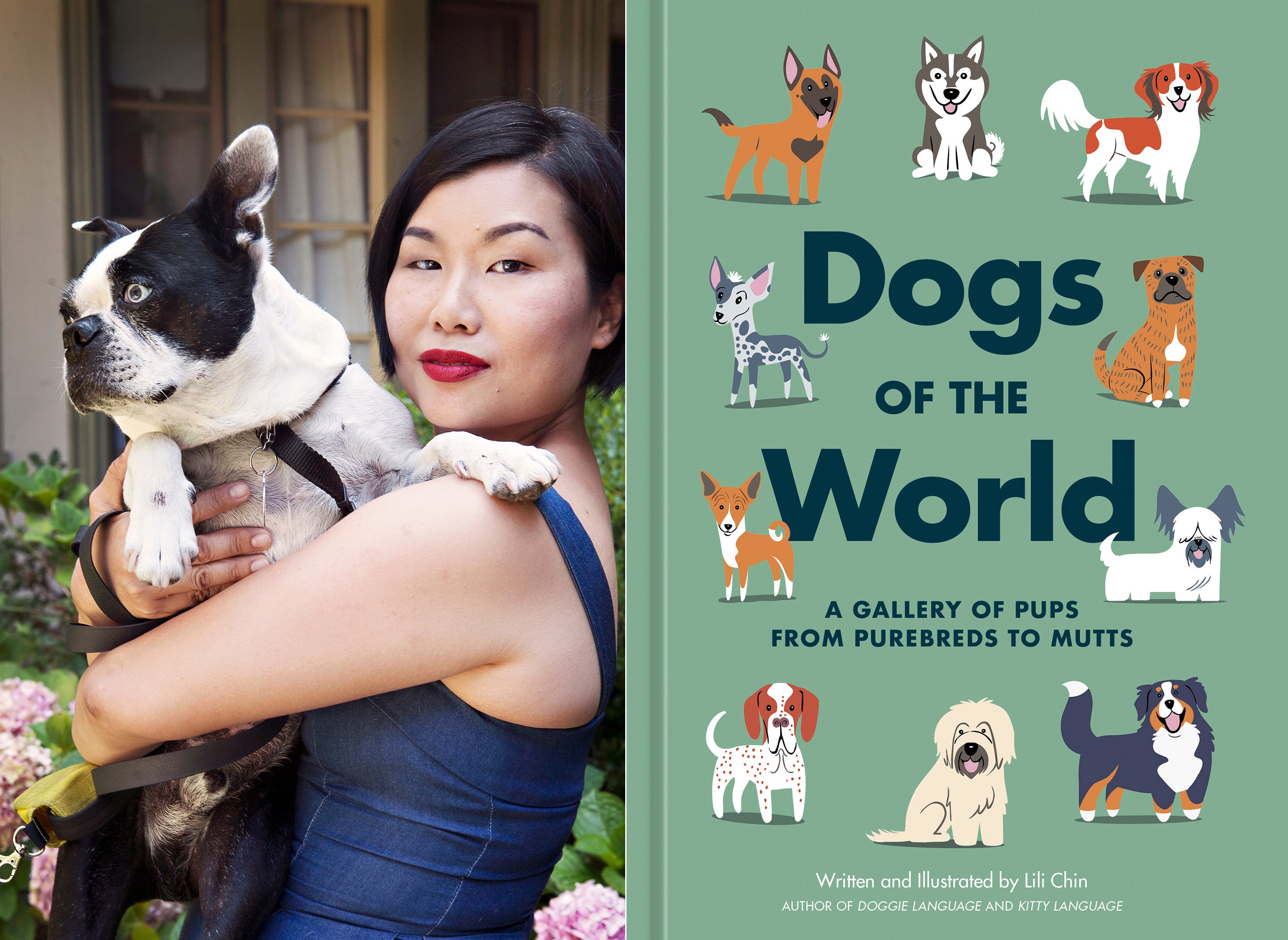 Pets-Pet Illustrator