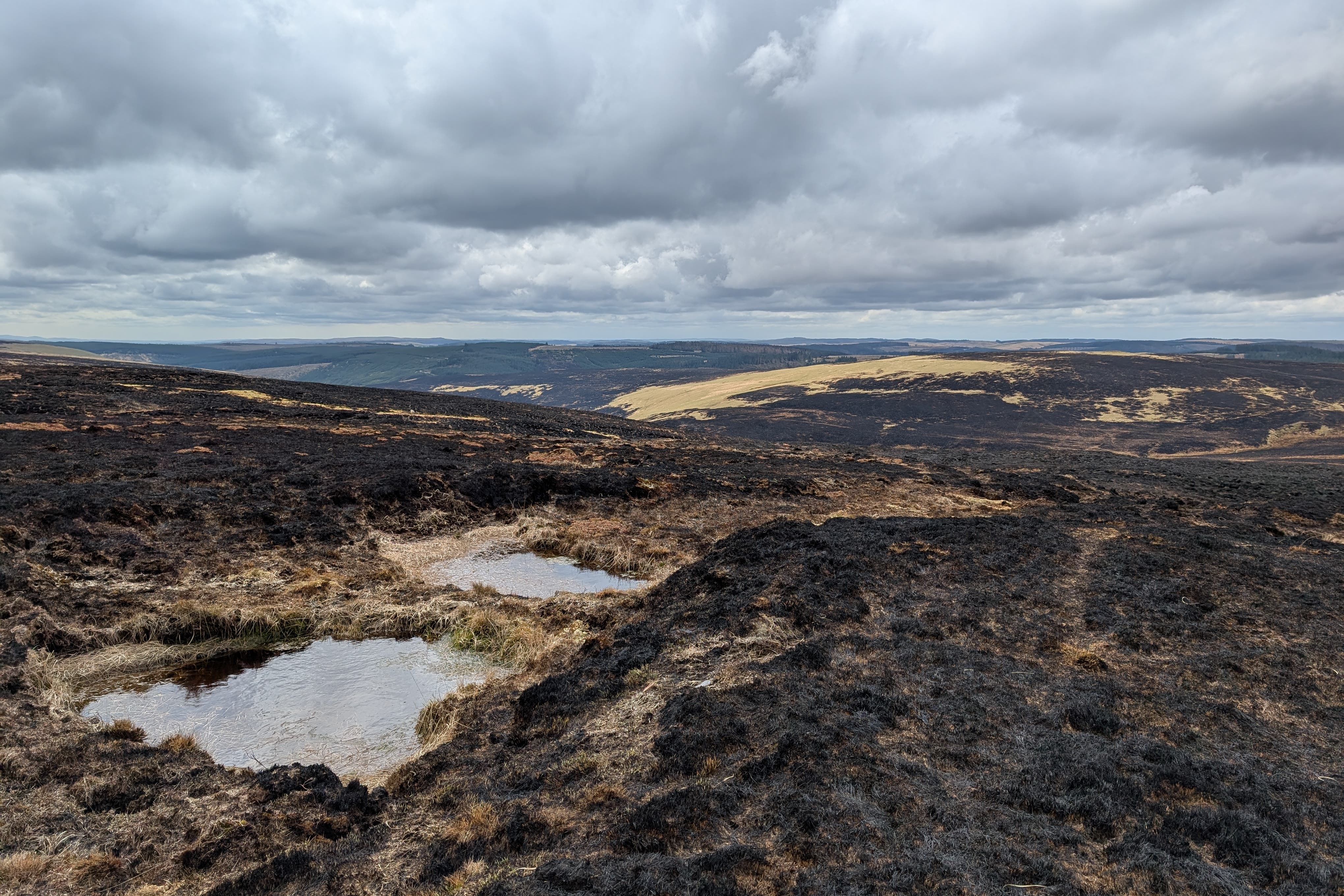 The effects of a huge wildfire on Abergwesyn Common in Wales (Chris Smith/National Trust)