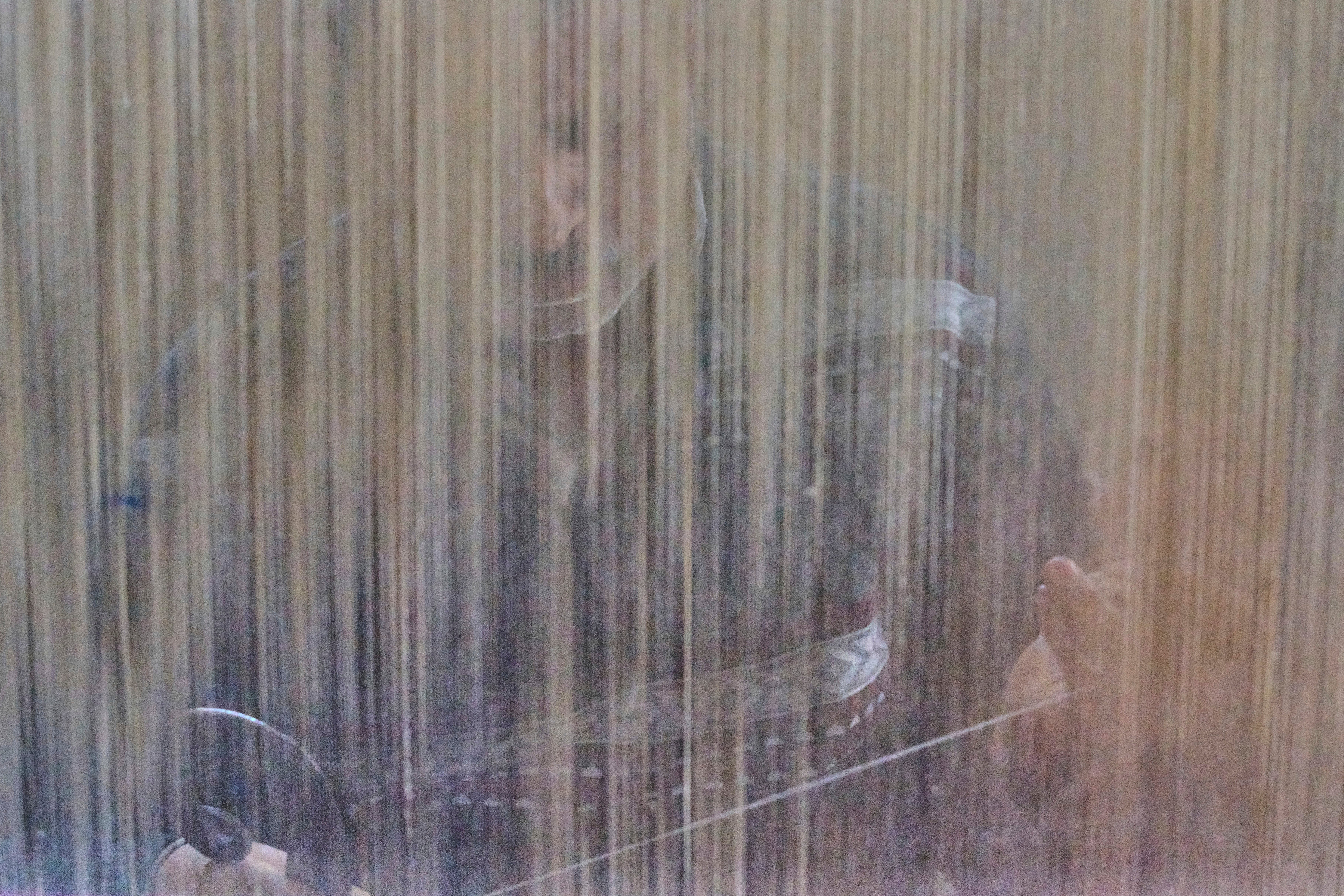 Kashmir Carpets Trump Tariffs Photo Gallery