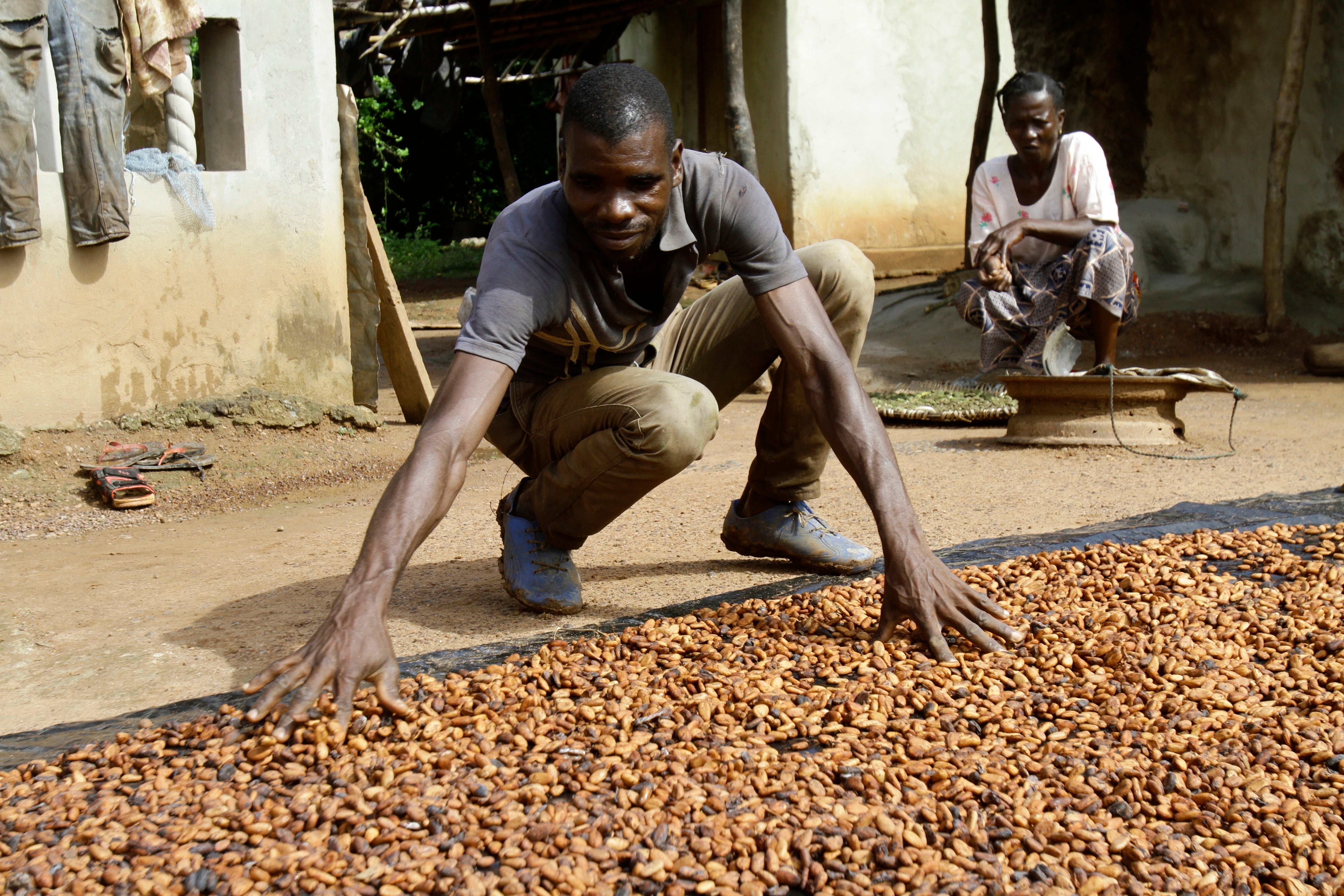 Ivory Coast Cocoa