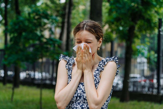 Here’s what your beauty routine should look like if you have allergy-prone skin (Alamy/PA)
