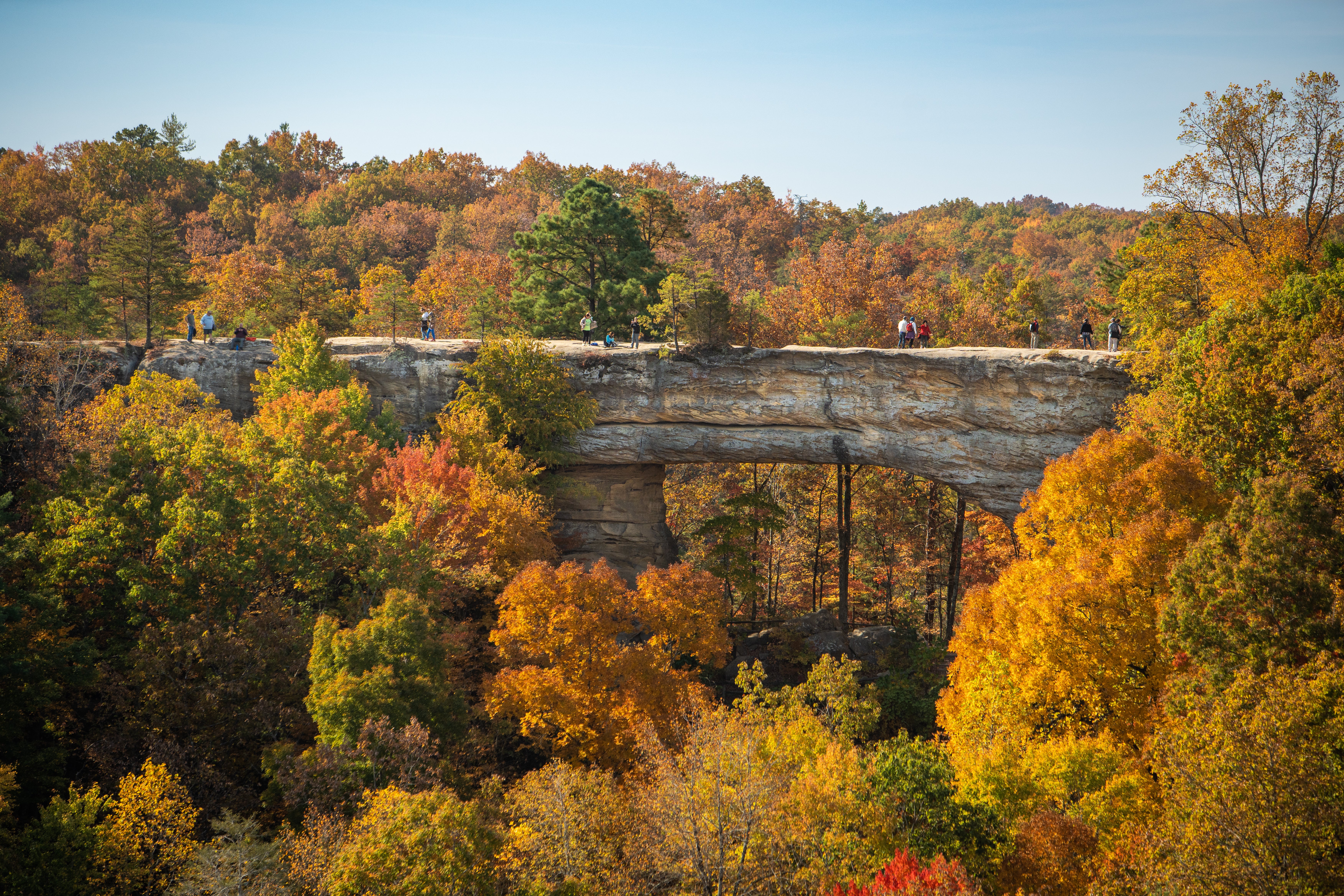 It's a short hike to the natural bridge about an hour from Red River Gorge