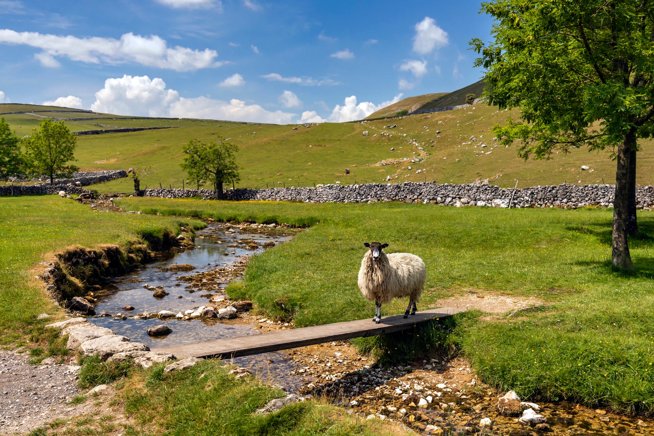 The Dales is a region of velvety fells, pikes and postcard-pretty villages