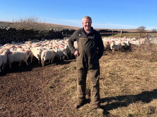 Colin Abel says he has lost 4,500 sheep to thieves on Dartmoor National Park over the past decade