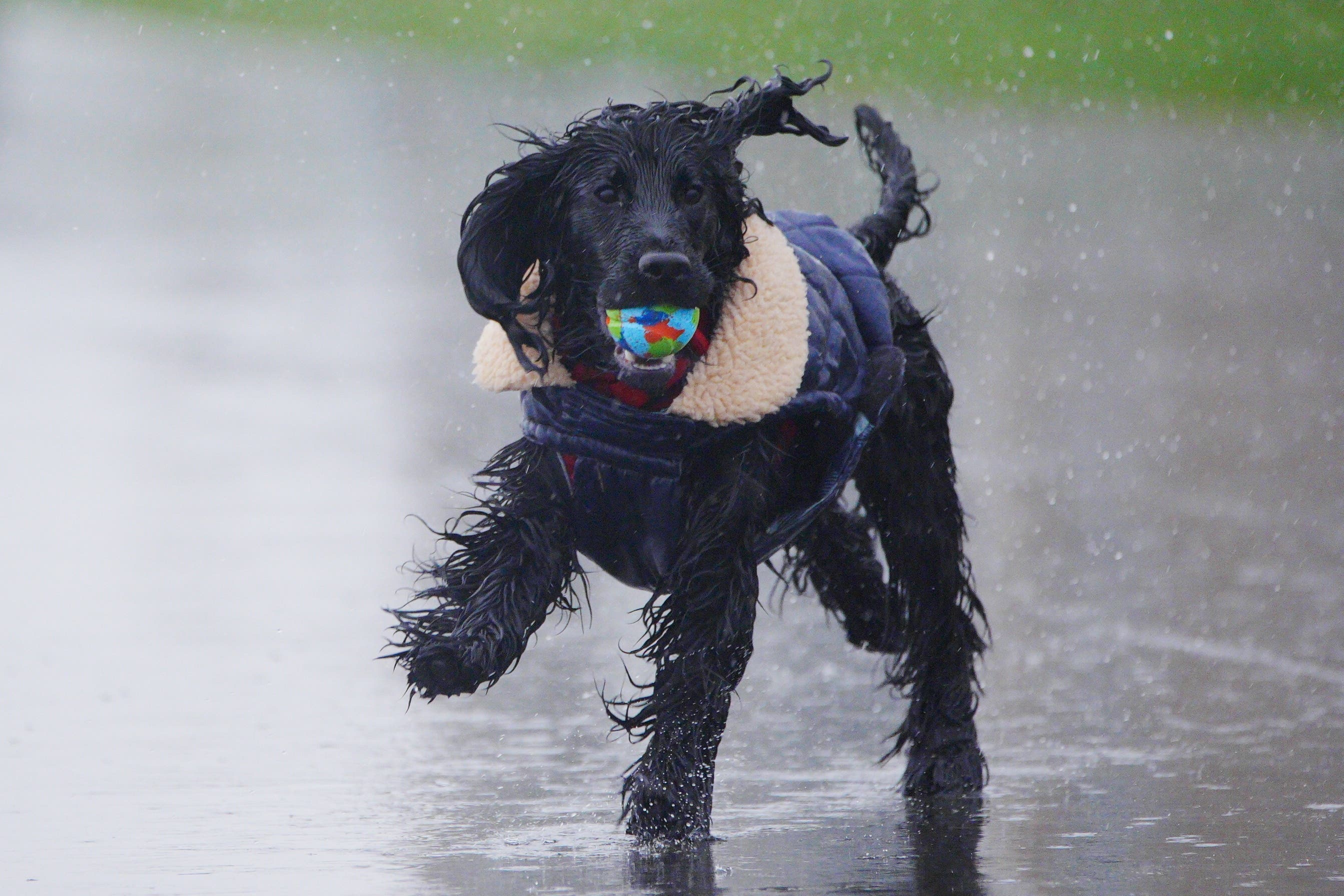 Parts of the UK are braced for a damp start to the Easter bank holiday weekend (Ben Birchall/PA)