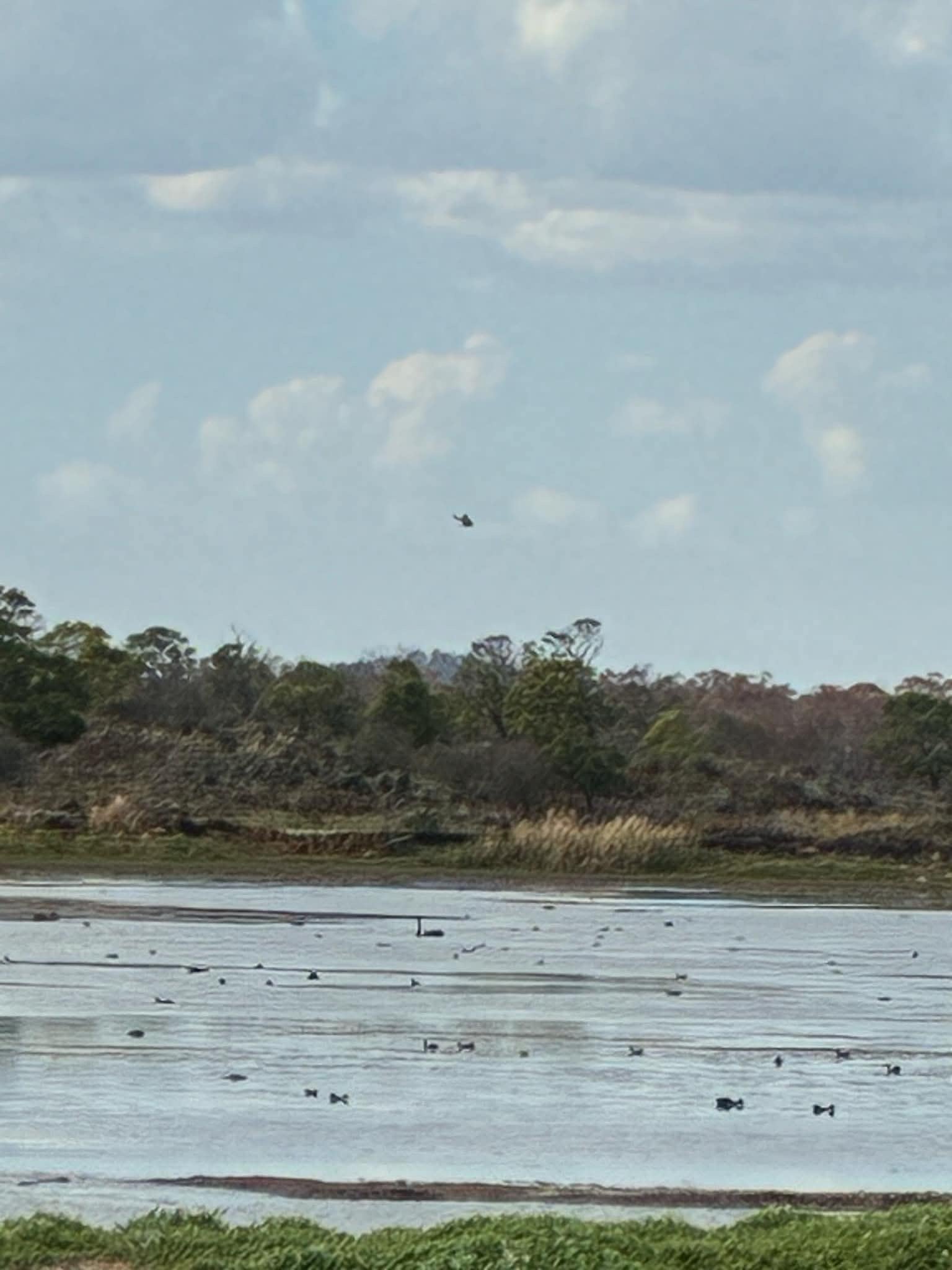 Helicopters spotted over Budj Bim national park
