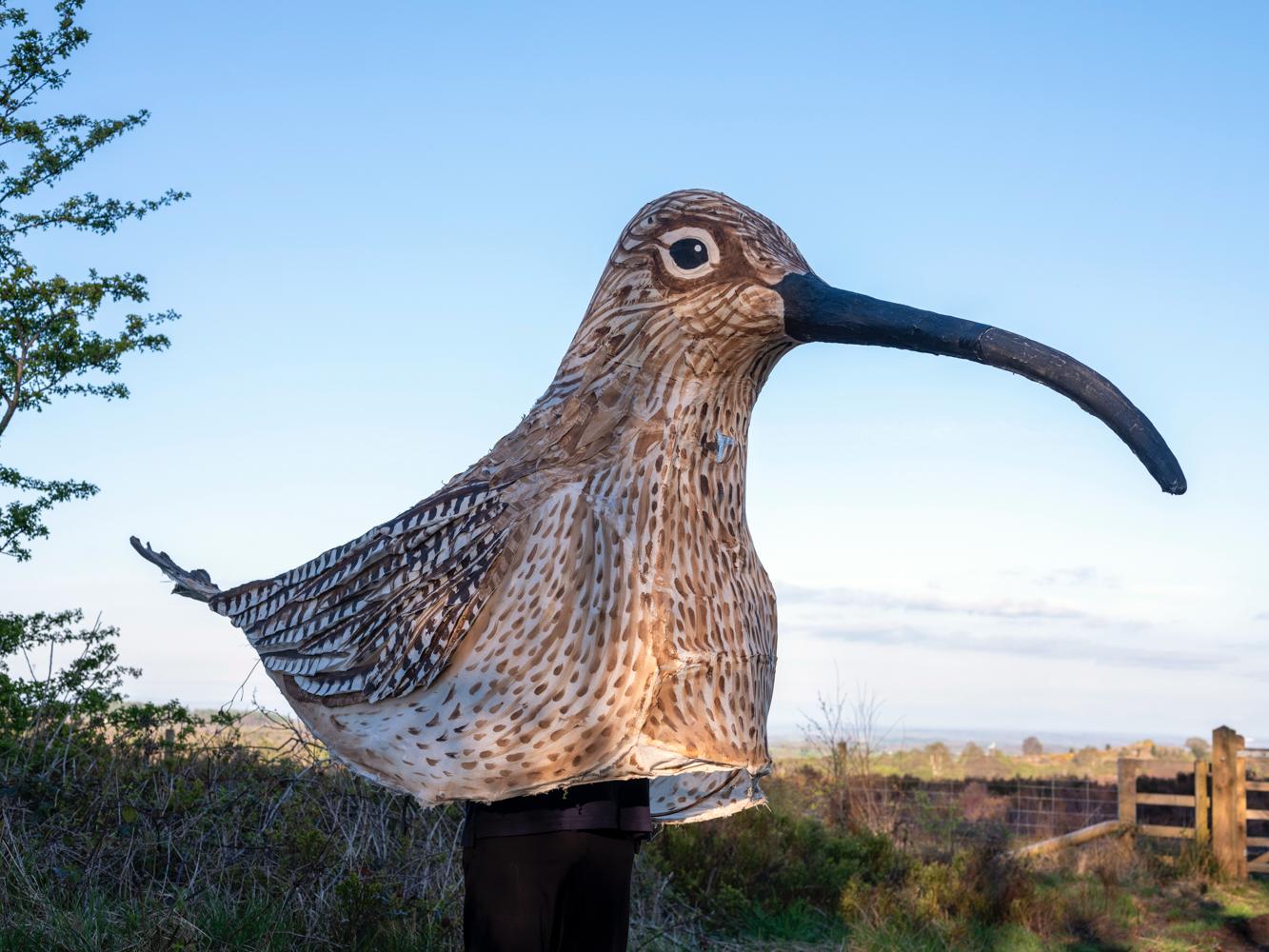 Matt Trevelyan warned the bird was at risk of extinction