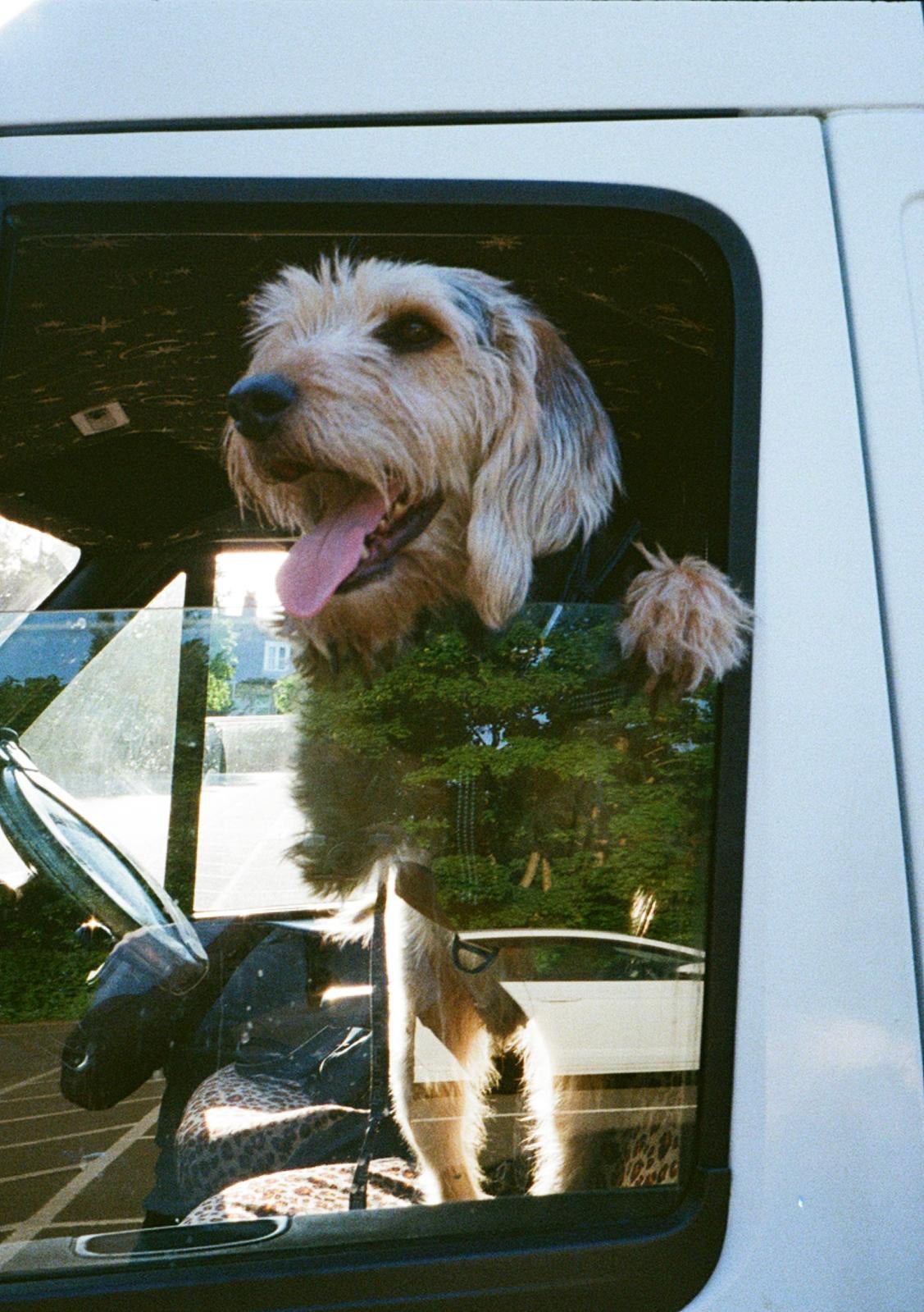 McCartney also loves van life