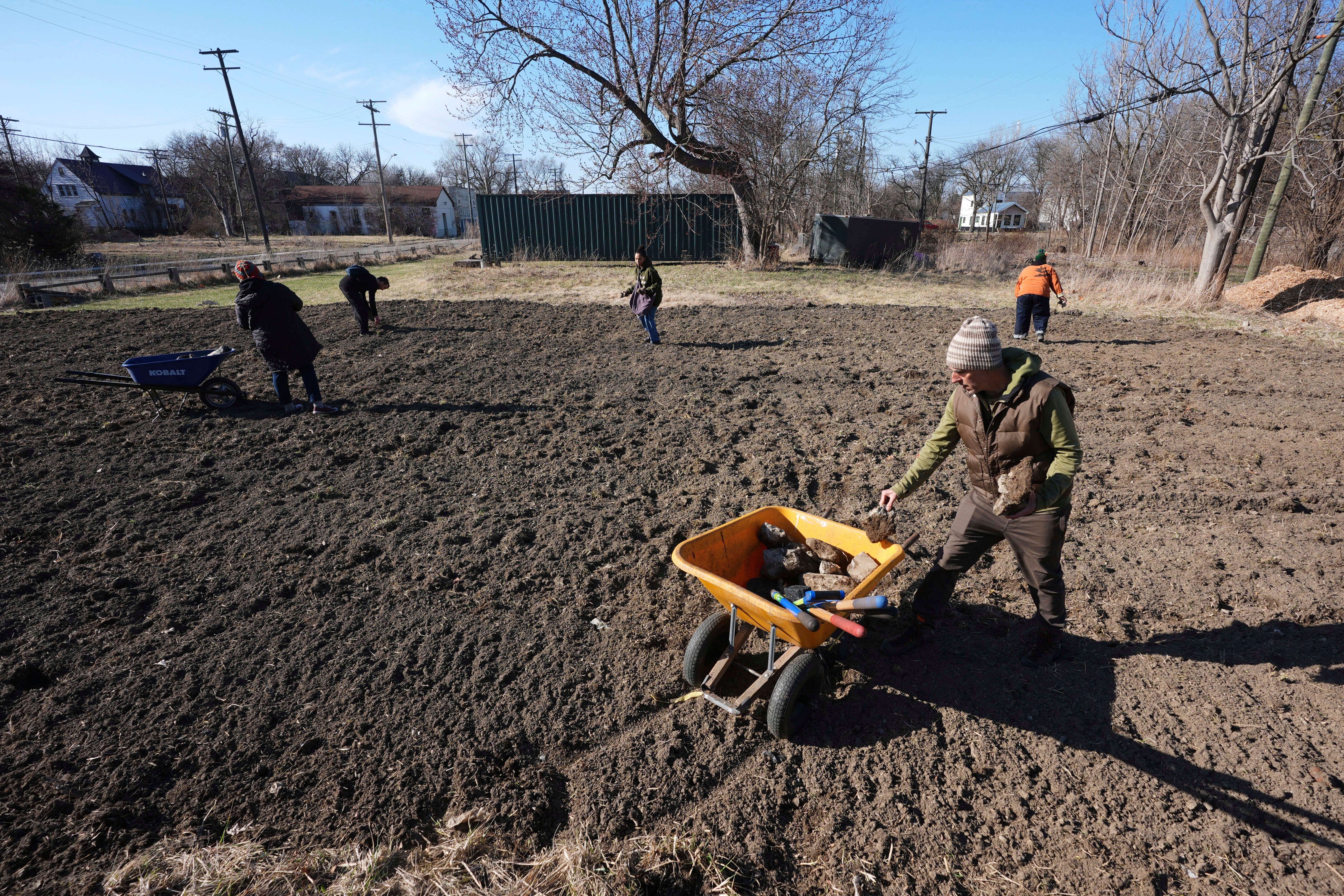 Sequoia Forest Detroit
