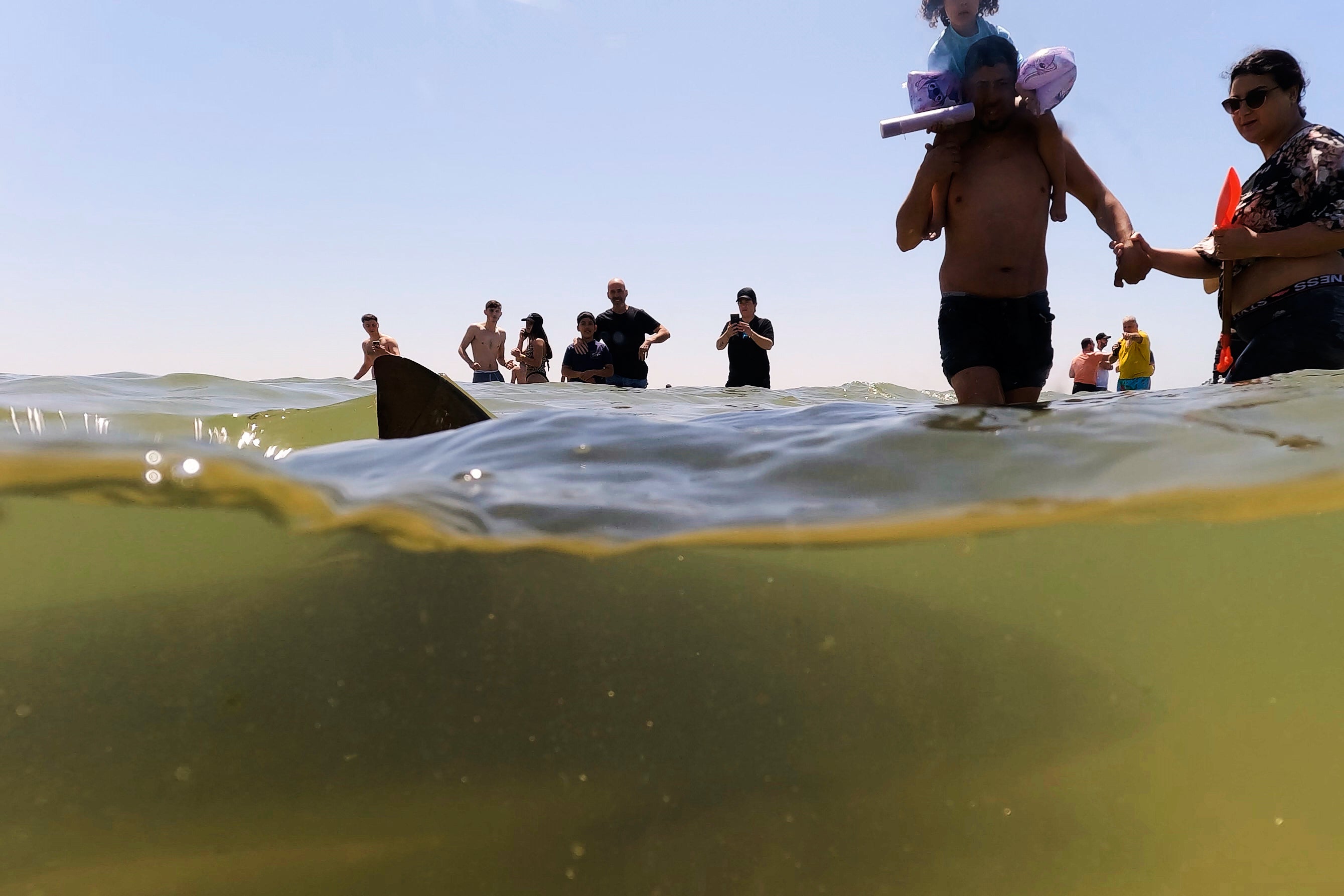 A shark swims past people in Mediterranean Sea in Hadera, Israel