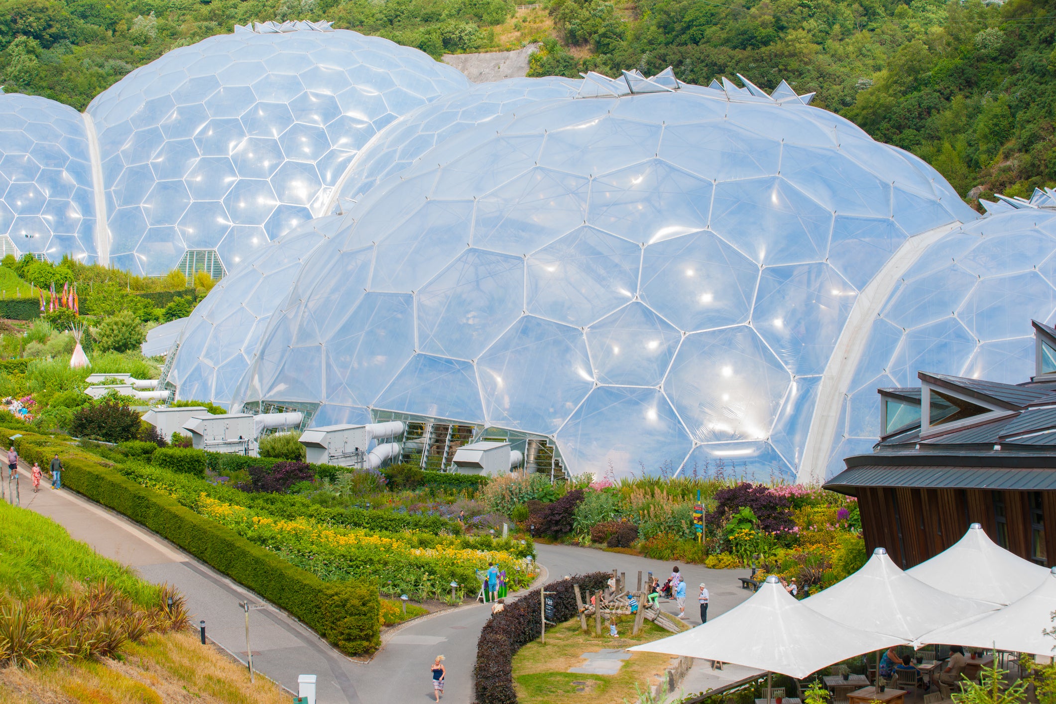 The Eden Project hosts the largest rainforest in captivity in its biomes