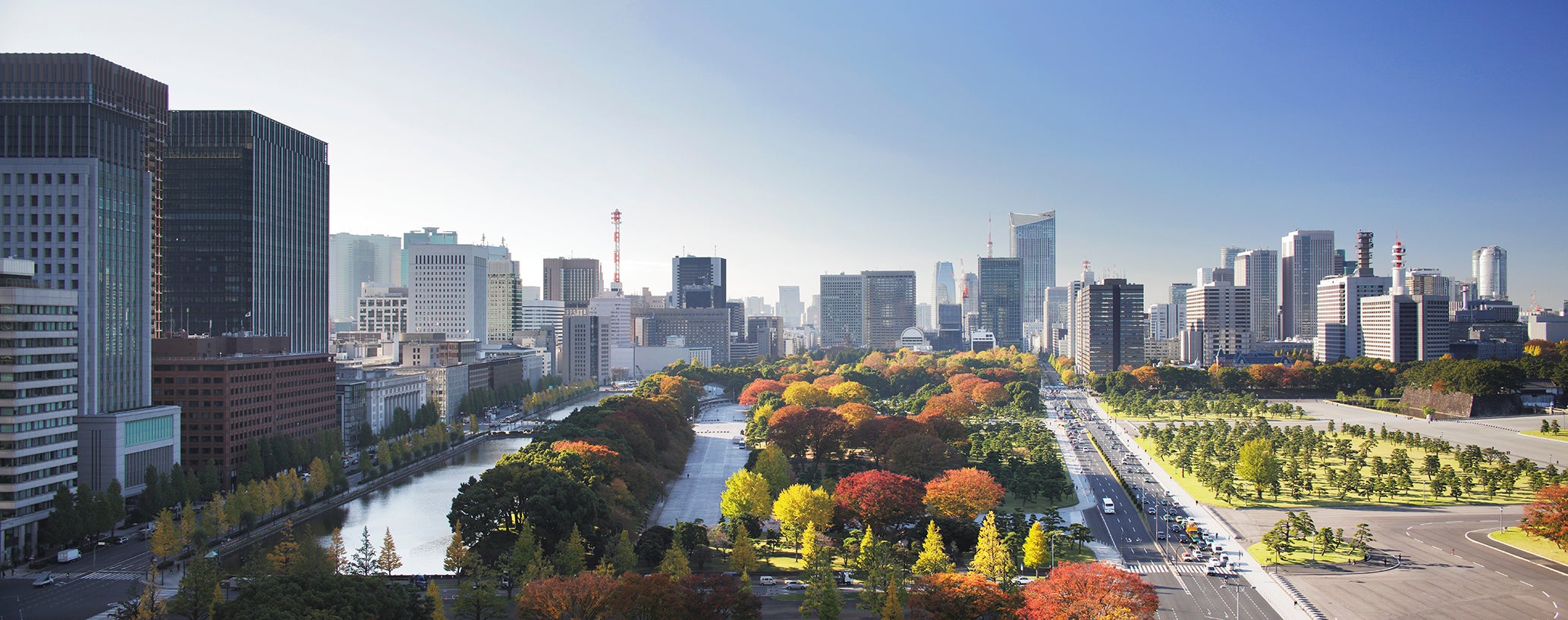 Autumn Views from Palace Hotel Tokyo