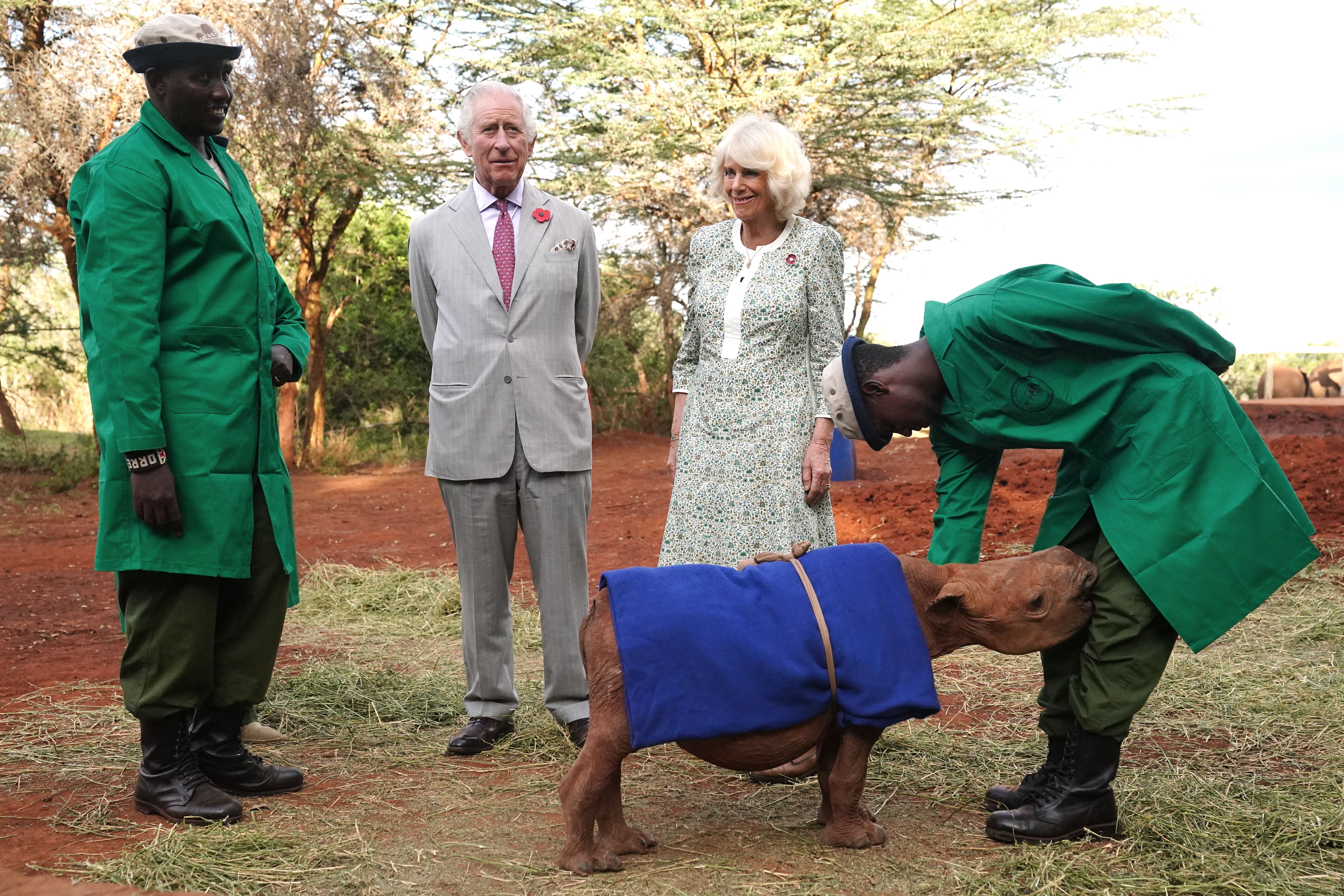 King Charles III and Queen Camilla during a visit to Sheldrick Wildlife Trust Elephant Orphanage in Nairobi National Park a visit that formed the inspiration for a royal tour painting.