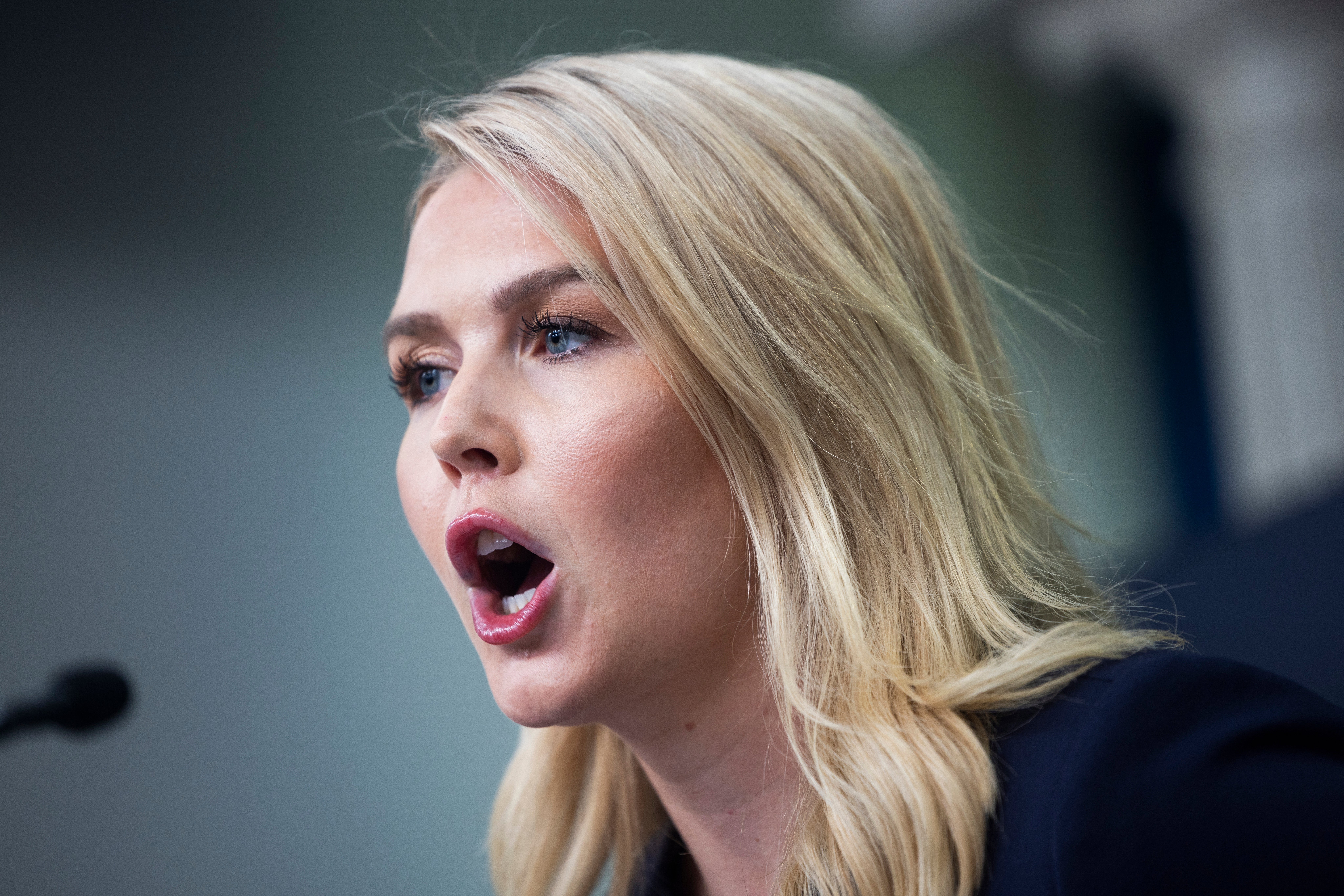 White House Press Secretary Karoline Leavitt said there had been ‘a lot of progress’ made towards sealing dozens of trade deals