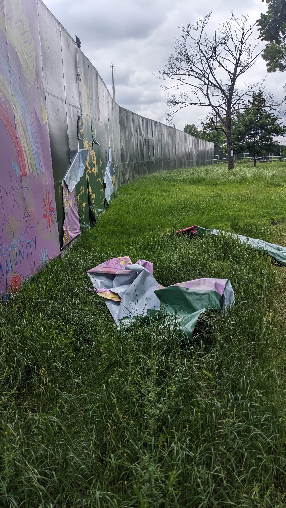 Campaigners described the park as a ‘site of importance for nature conservation’ and said that ‘we are caught in a cycle of fencing for events and re-fencing to repair the inevitable damage’