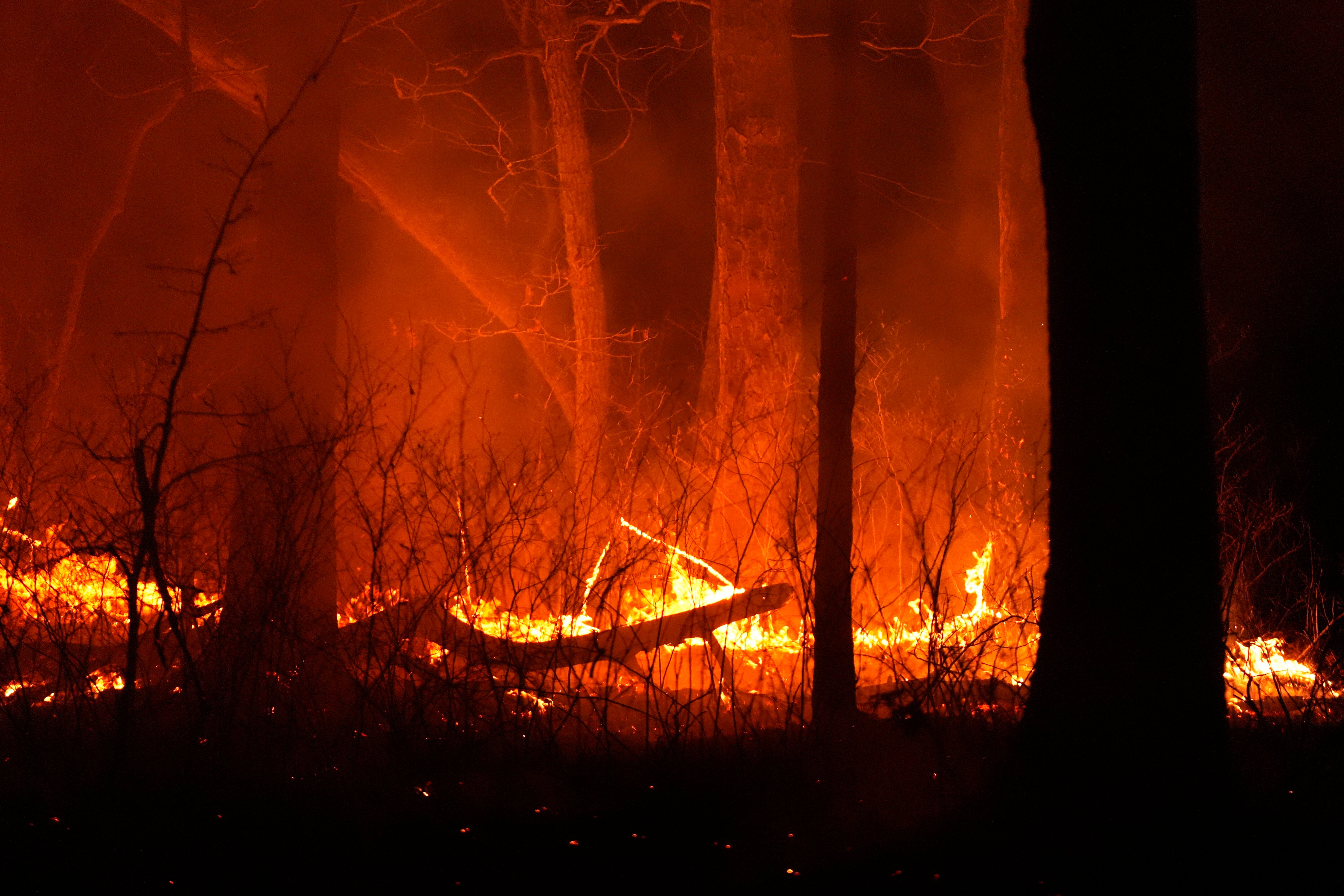 The wildfire burned through 11,500 acres in New Jersey.