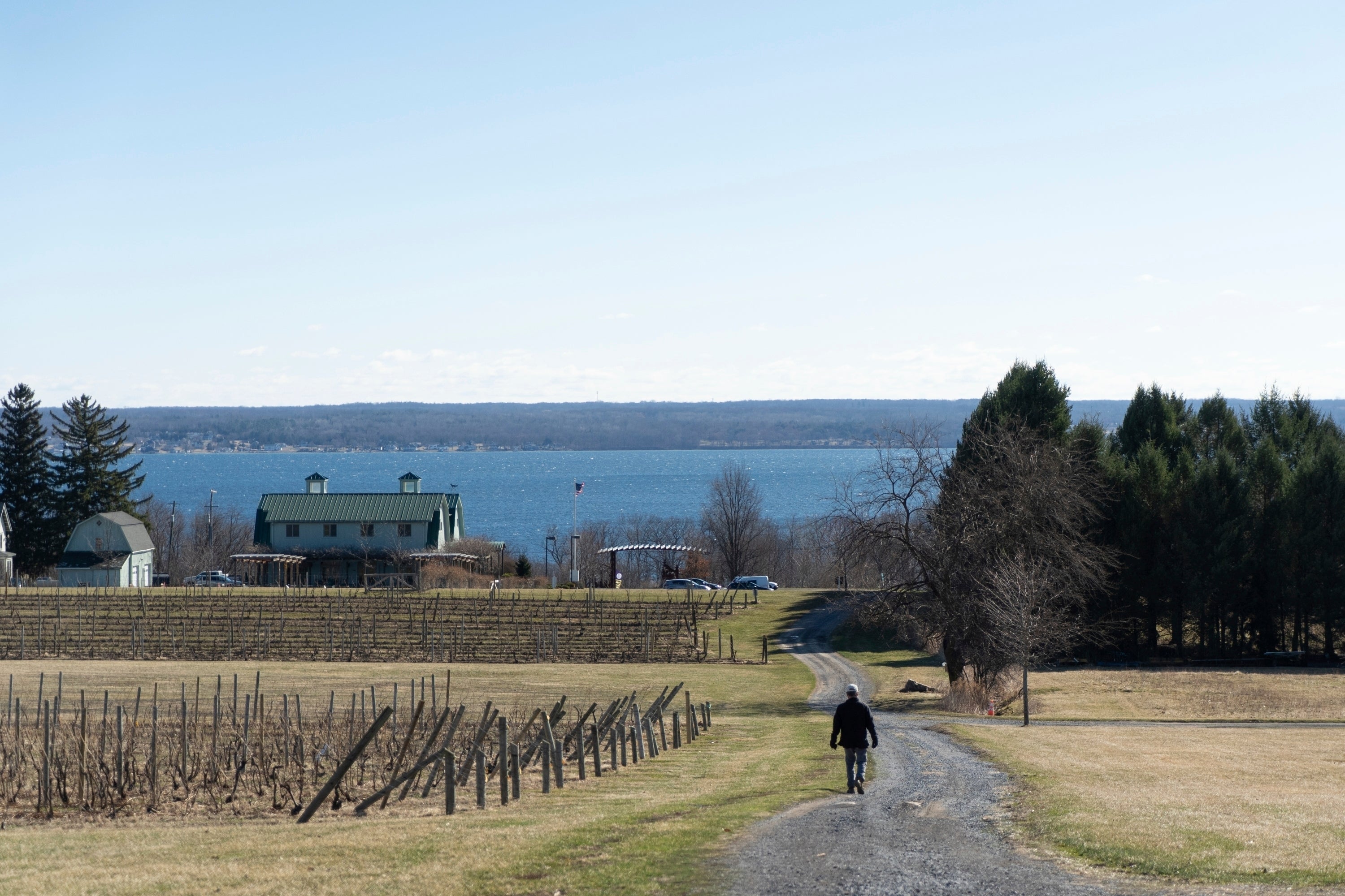 Climate New York Wine Producers