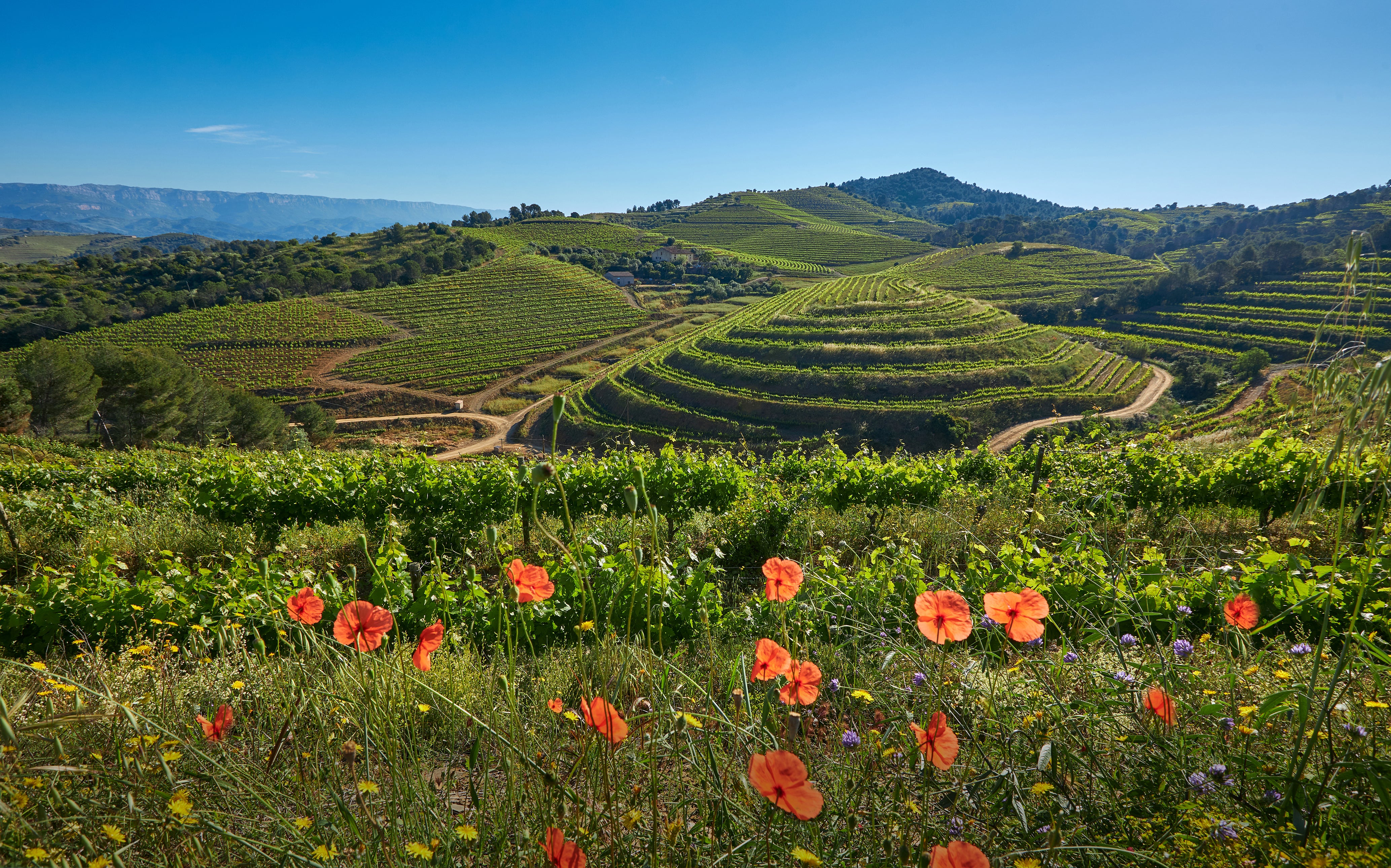 Wild wanders and breathtaking vistas: Go off-grid amid the Costa Dorada’s incredible nature