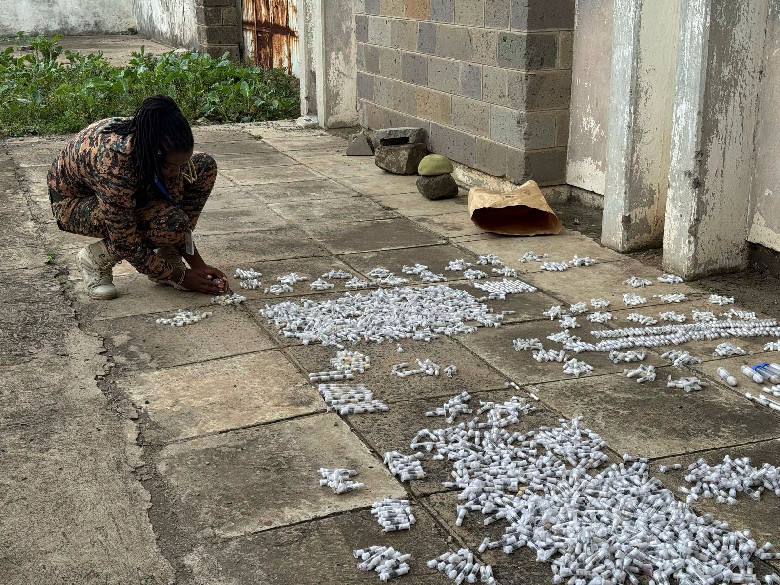 Kenyan officials display live queen ants that were destined for Europe and Asia, at the Jomo Kenyatta International Airport Law Courts
