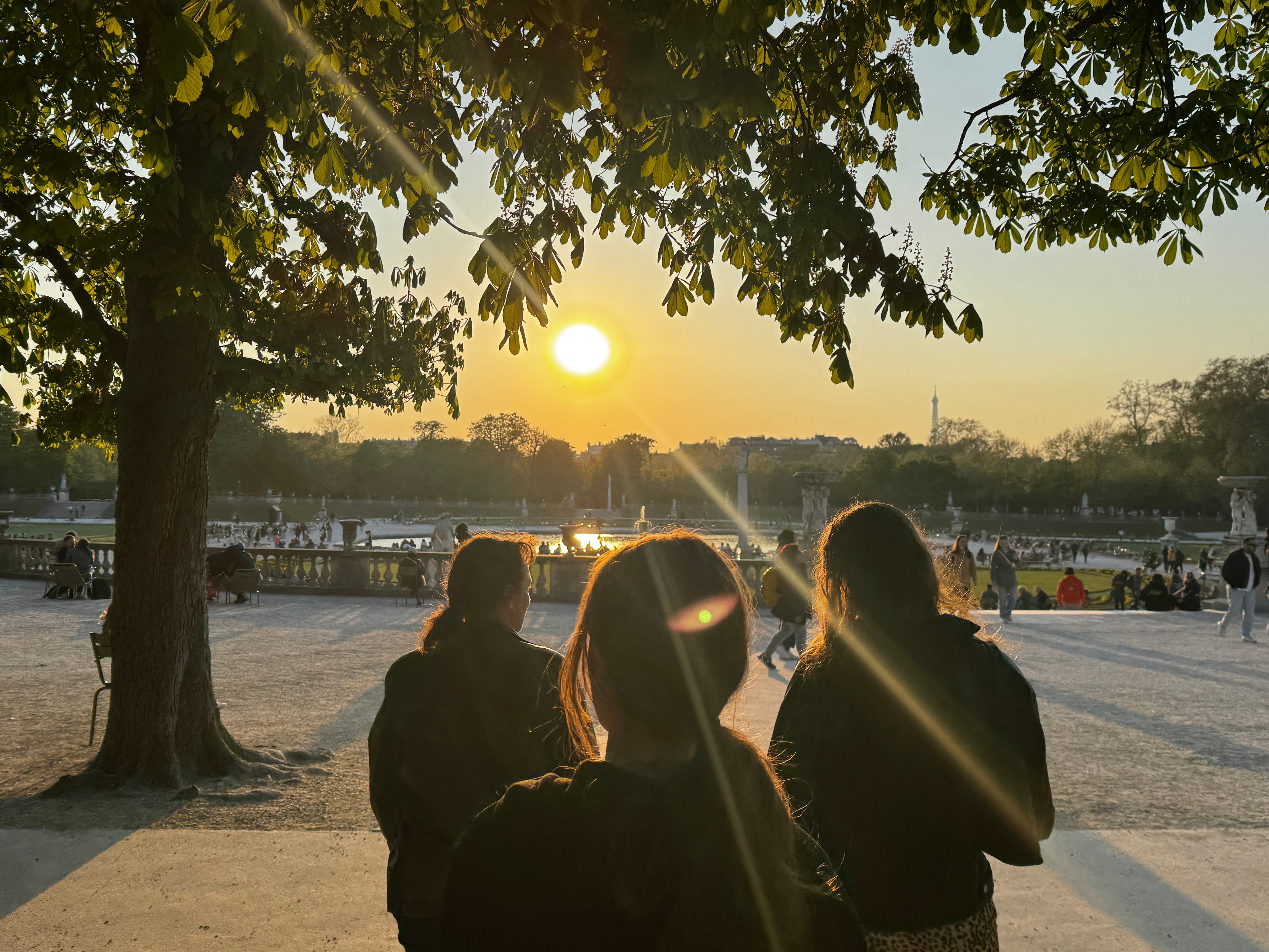 The McKelvie's avoided Uber taxis on their Paris trip