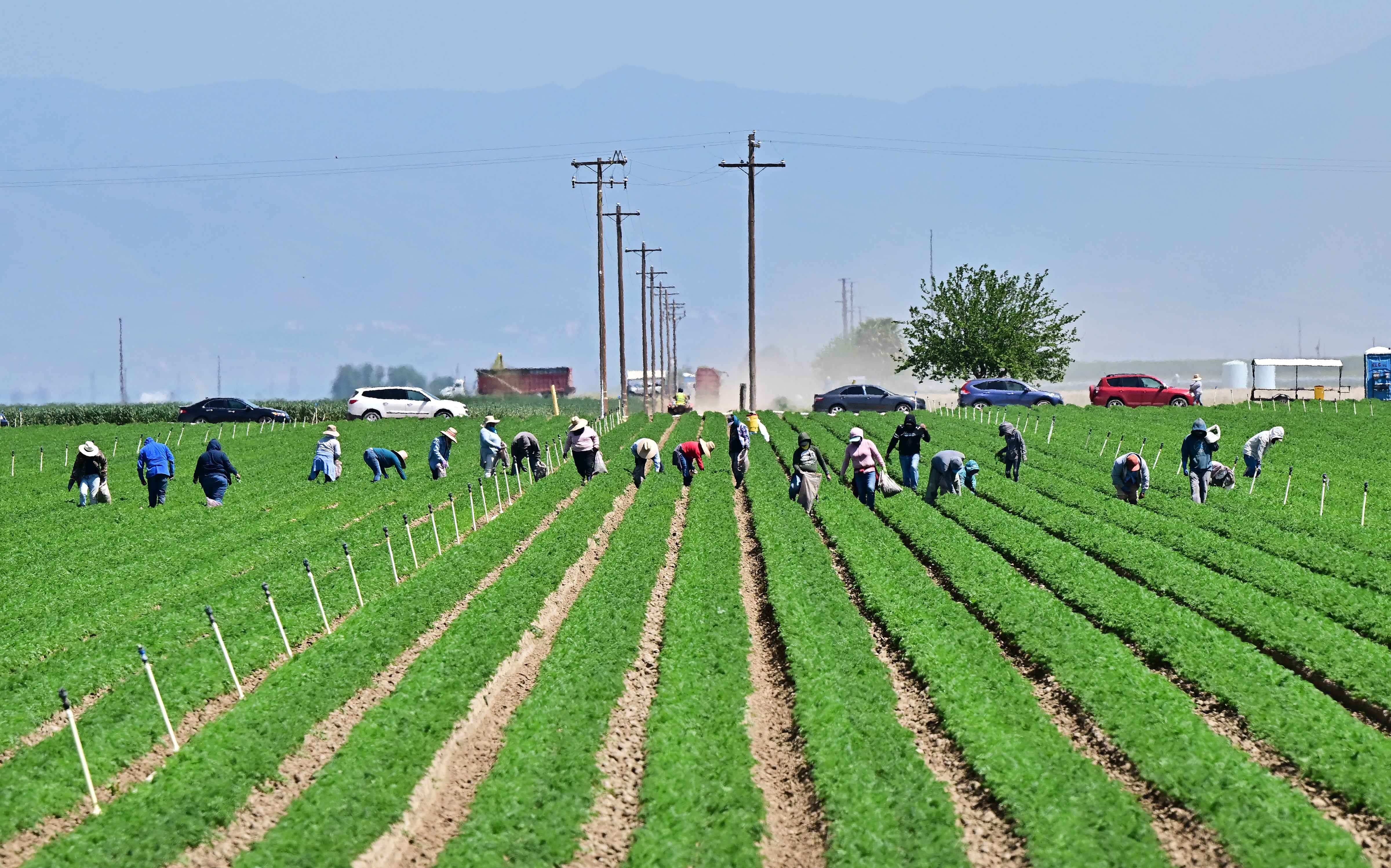 The California city of Bakersfield topped the list for particle pollution. Particle pollution can come from wildfires and fossil fuel emissions