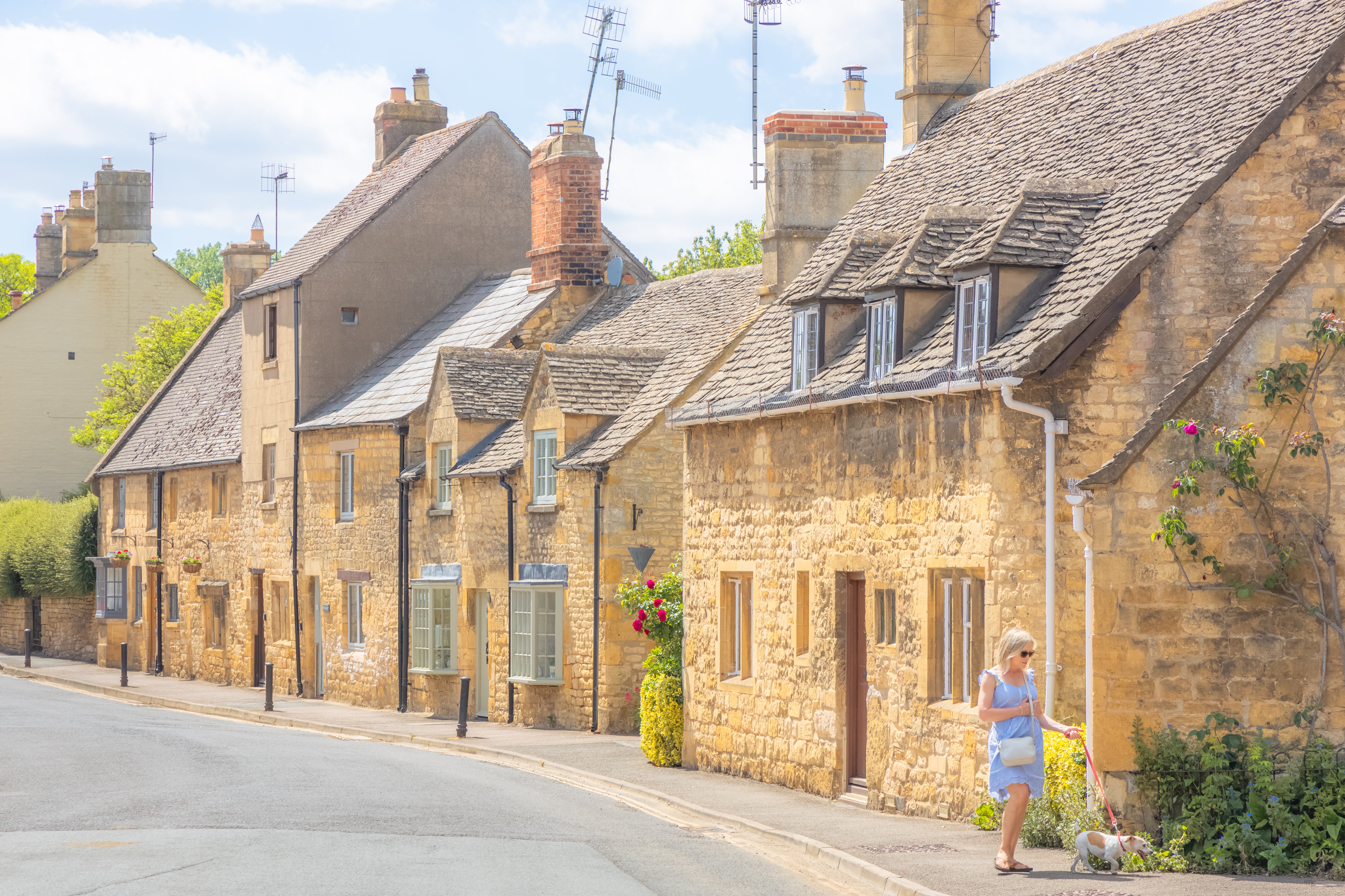 <p>Your pooch will likely love walking through the Cotswolds </p>