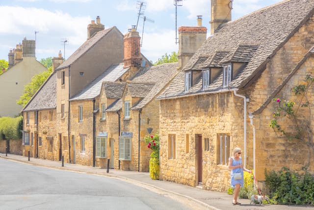 <p>Your pooch will likely love walking through the Cotswolds </p>