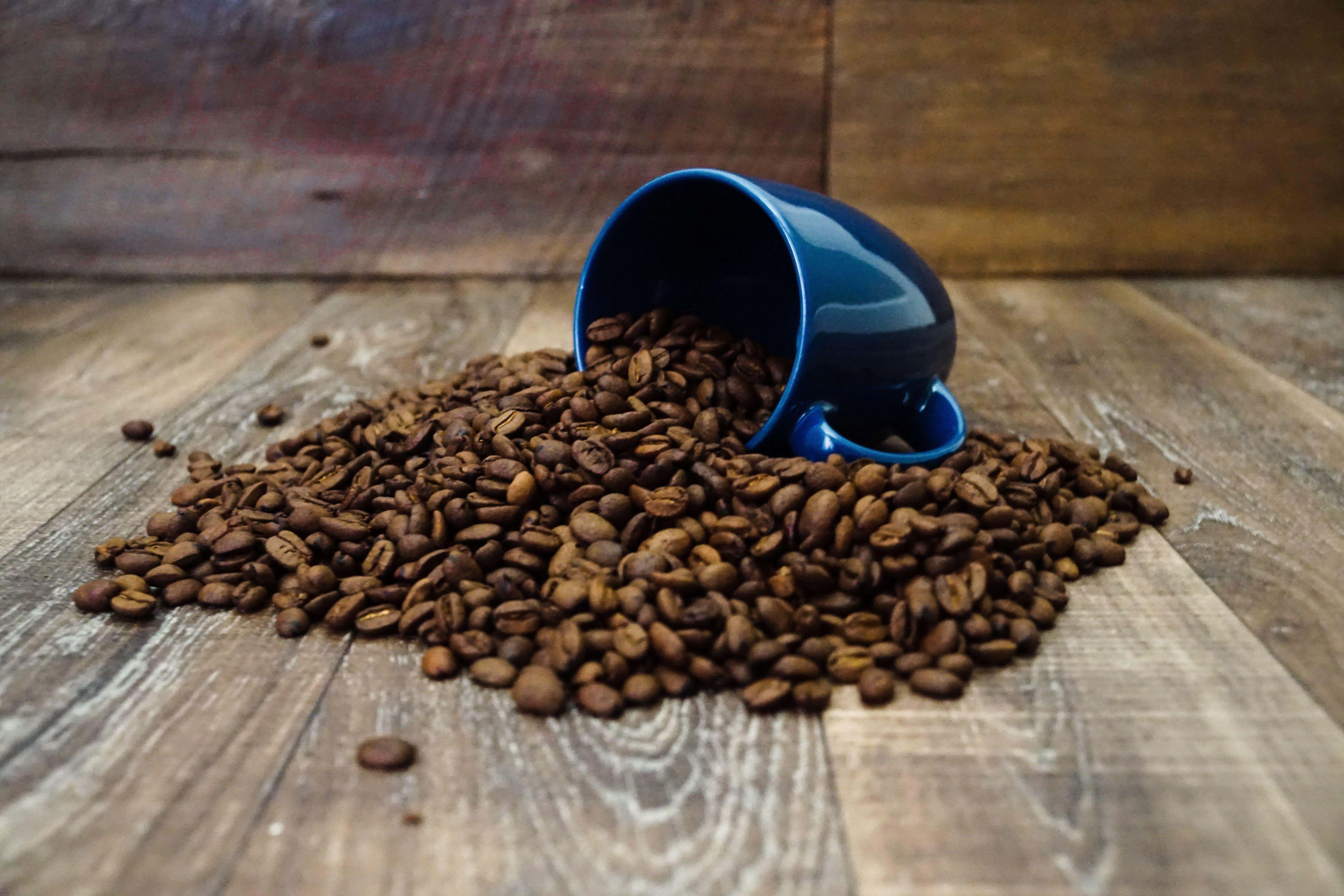 Millennials ‘spill the beans’, while Gen Z ‘spills the tea’, a study on the evolution of English phrases suggests (Alamy/PA)