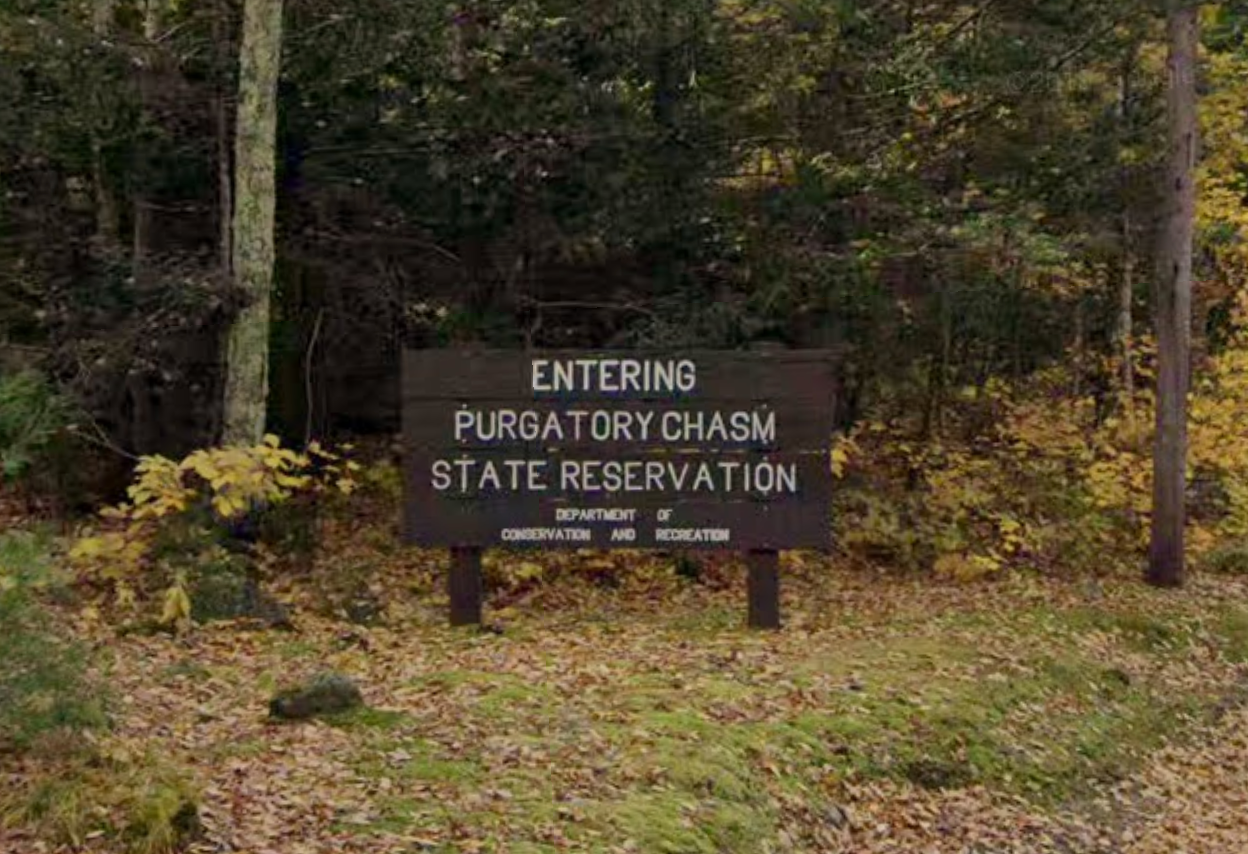 Police have said that the incident appeared to have been an accident