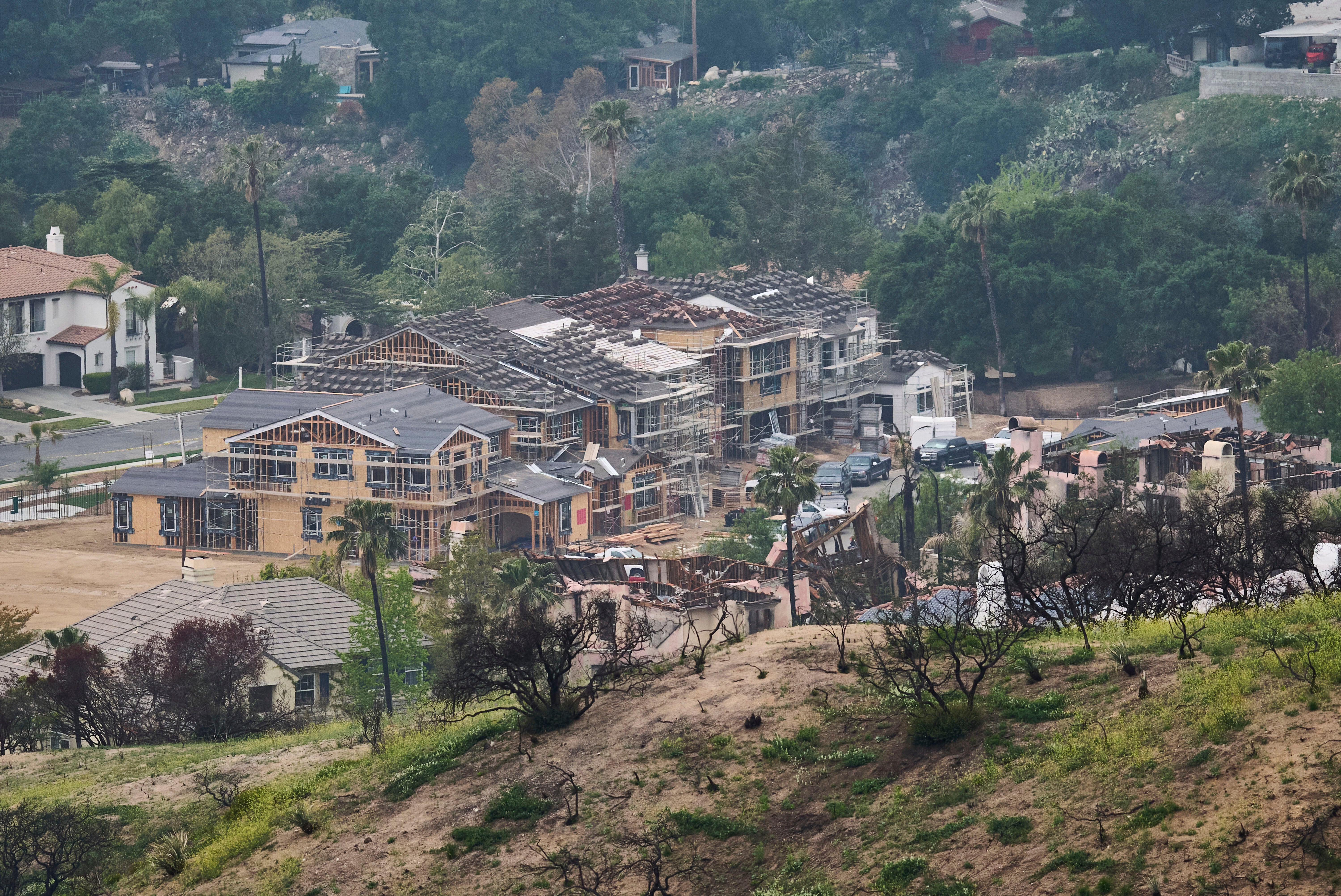 Eaton Fire Nature Recovery