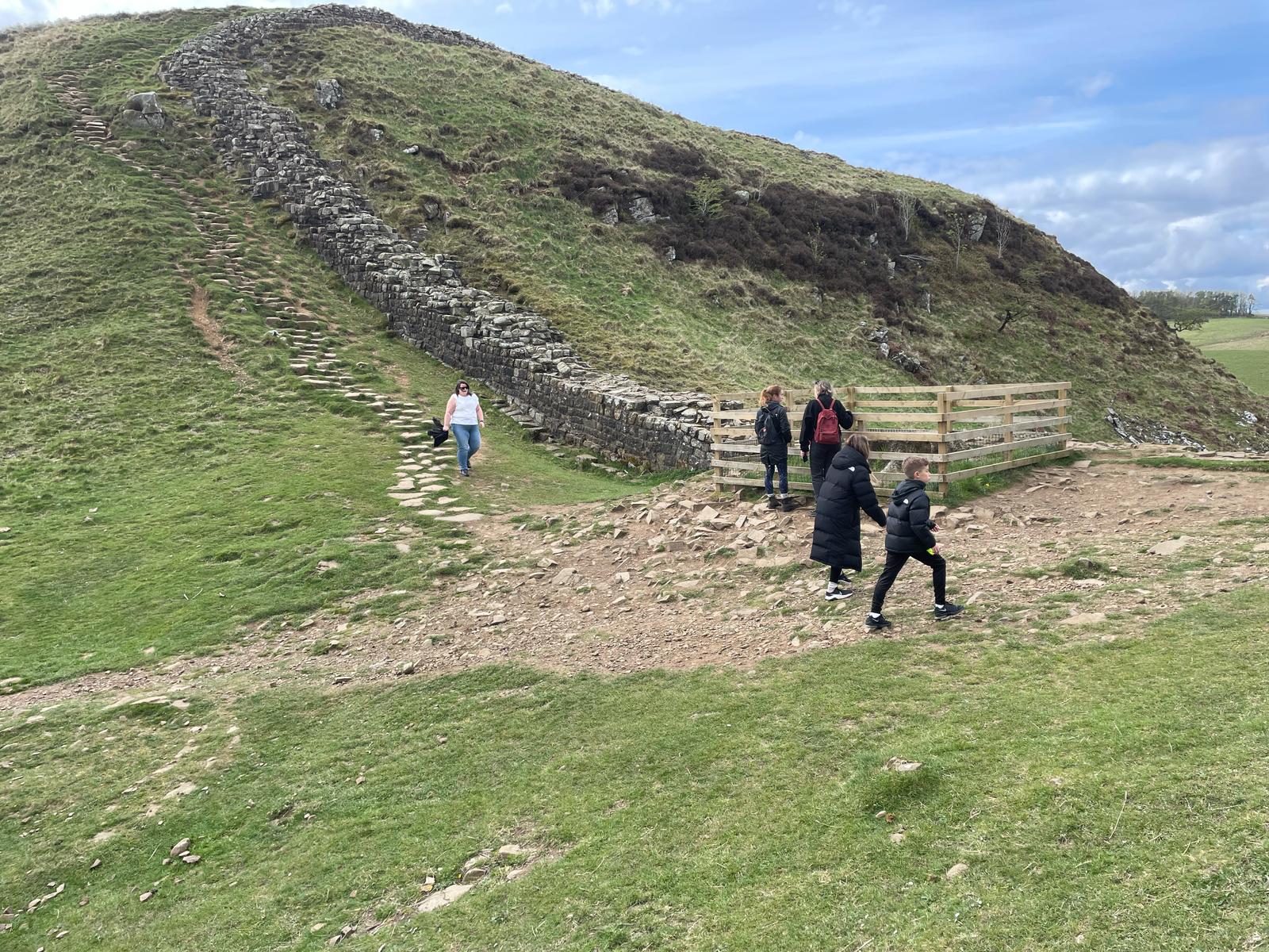 Hikers along the wall stop to view the stump, which is now showing shoots coming through