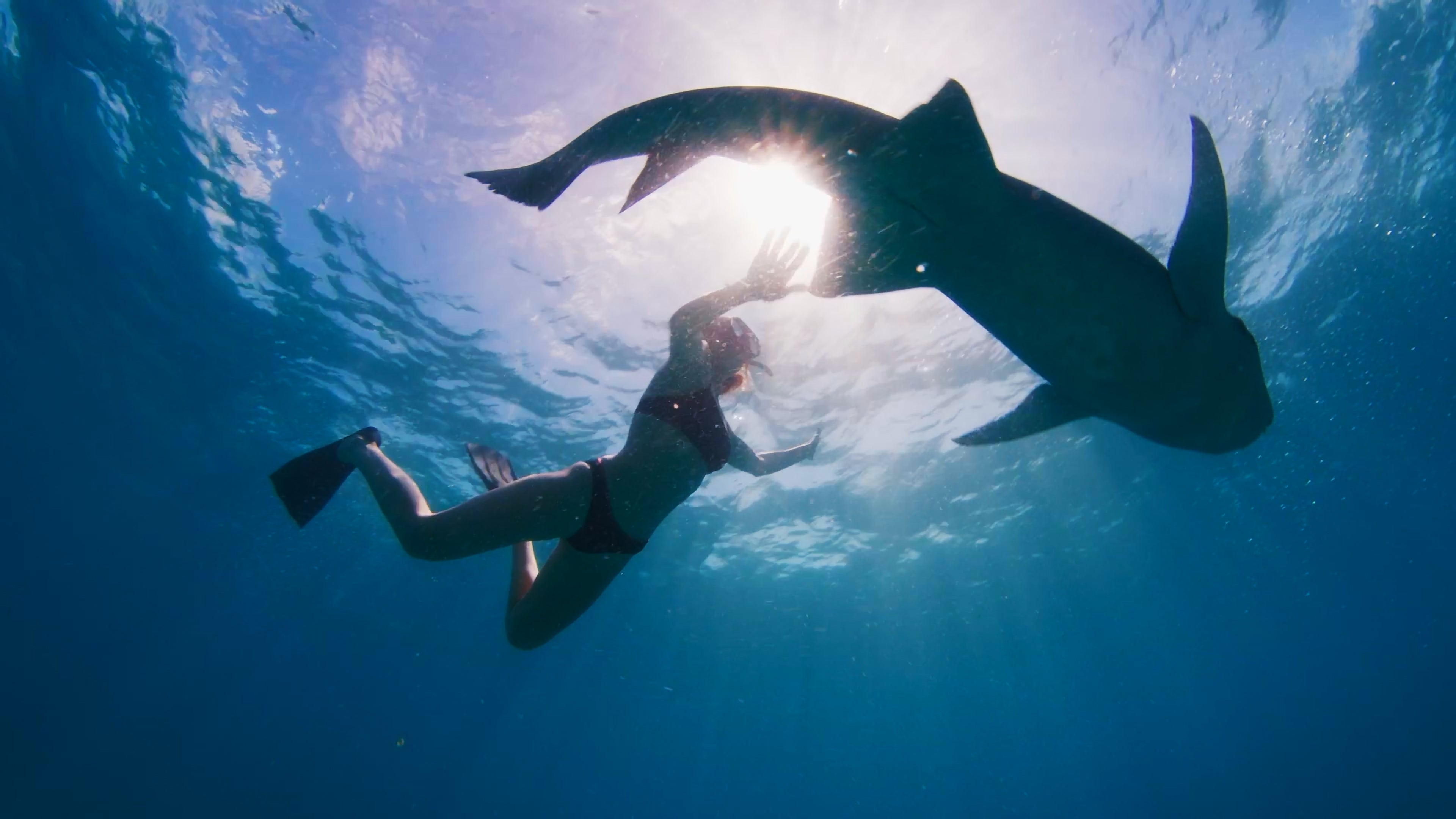 A woman swims with a nurse shark in the Maldives