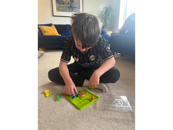 Smart Games Smart Dog Obstacle Run