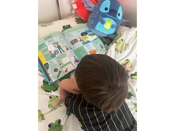 ‘What’s The Actually Factually Difference?’ written by Jane Wilsher, illustrated by Liz Kay and published by Words & Pictures