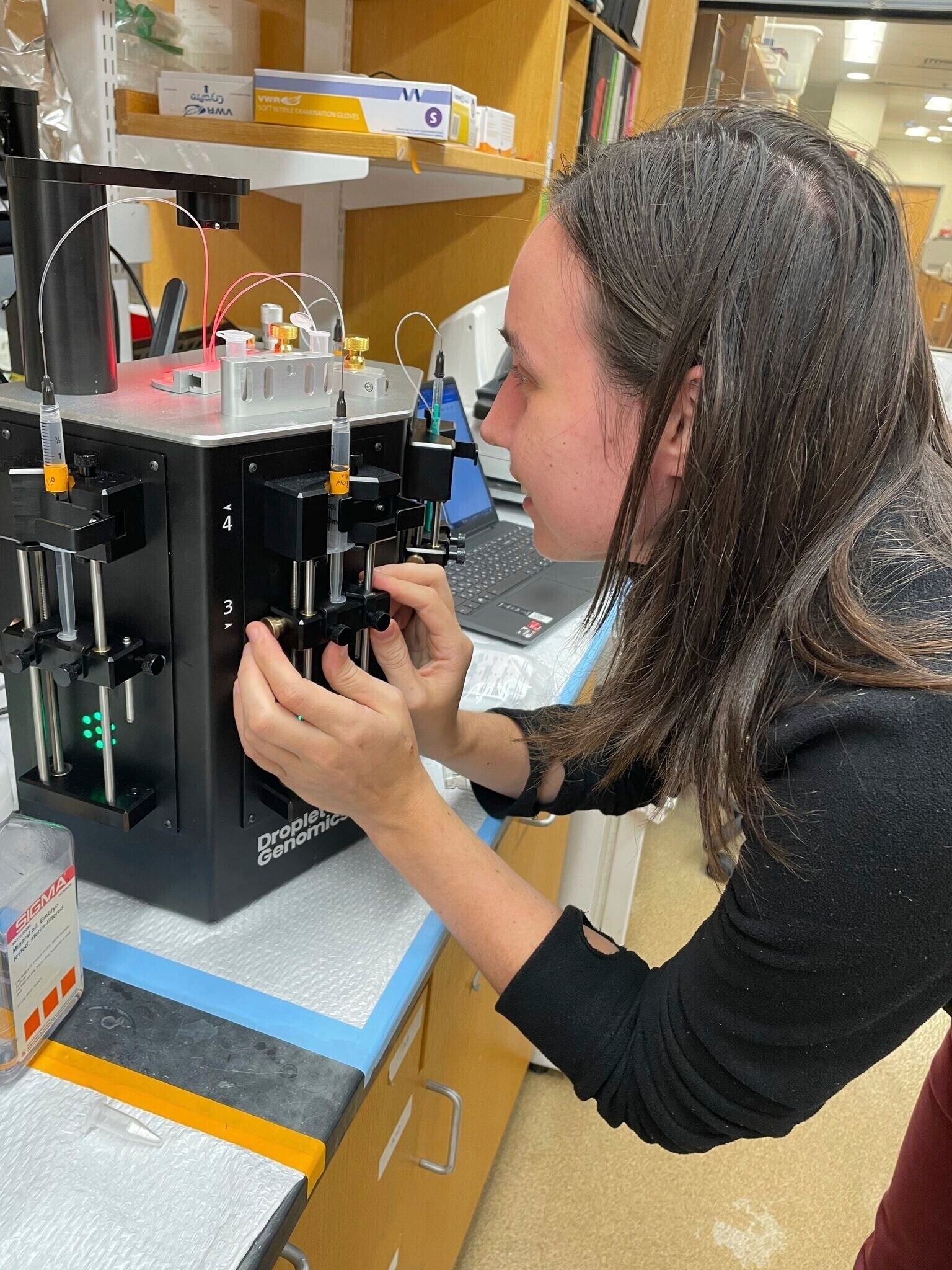 Immigration-Harvard Researcher