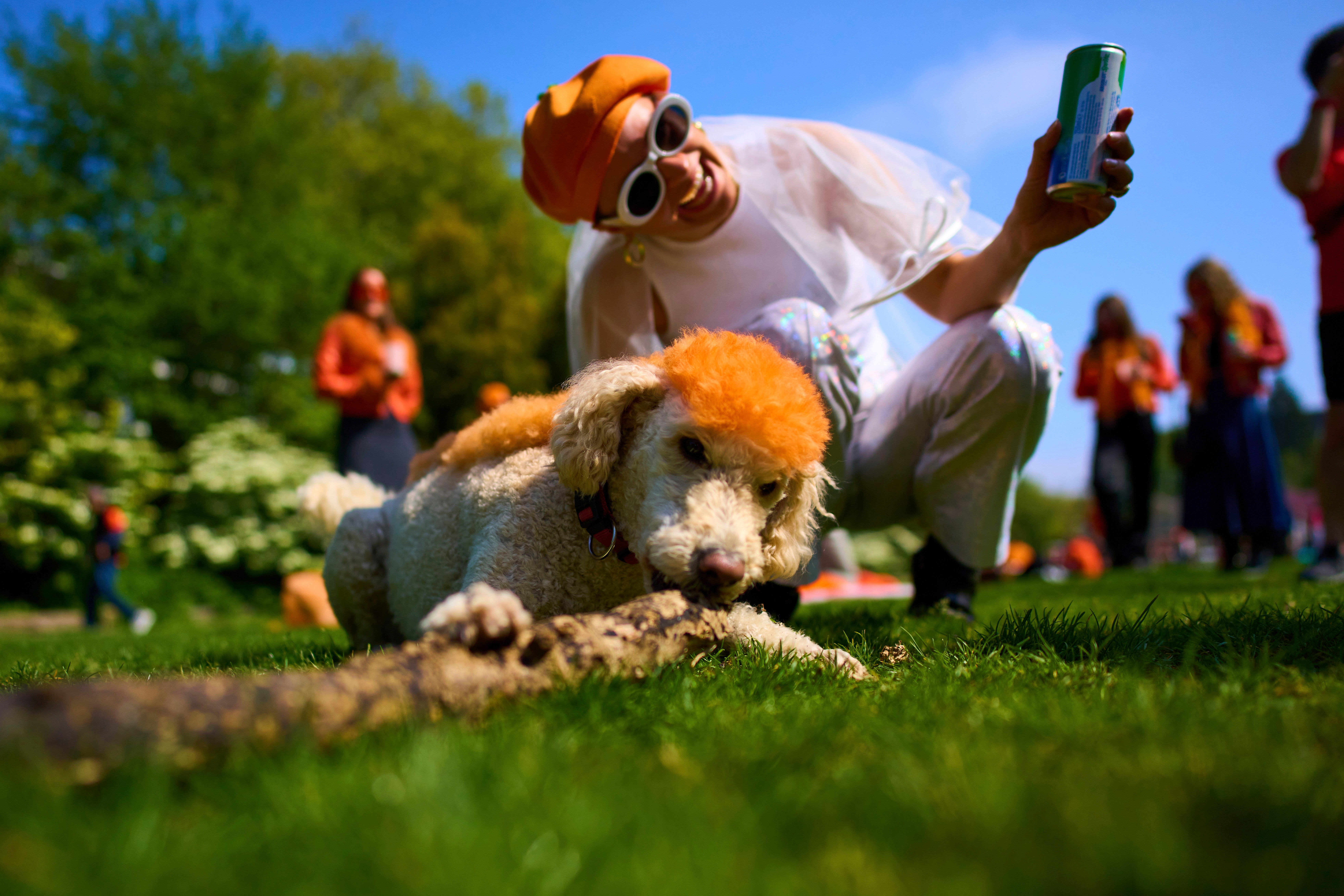 Netherlands King's Day