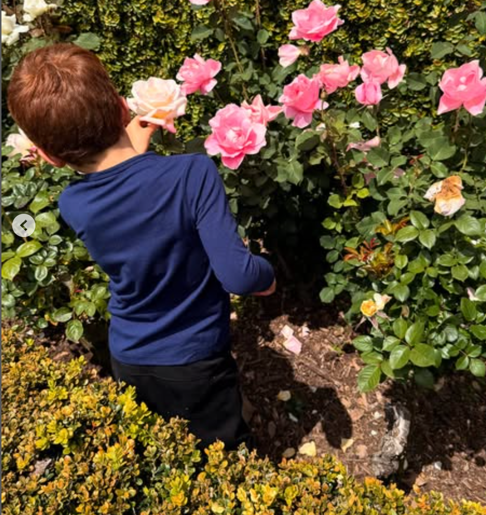 Meghan Markle's son Archie picking flowers in the garden
