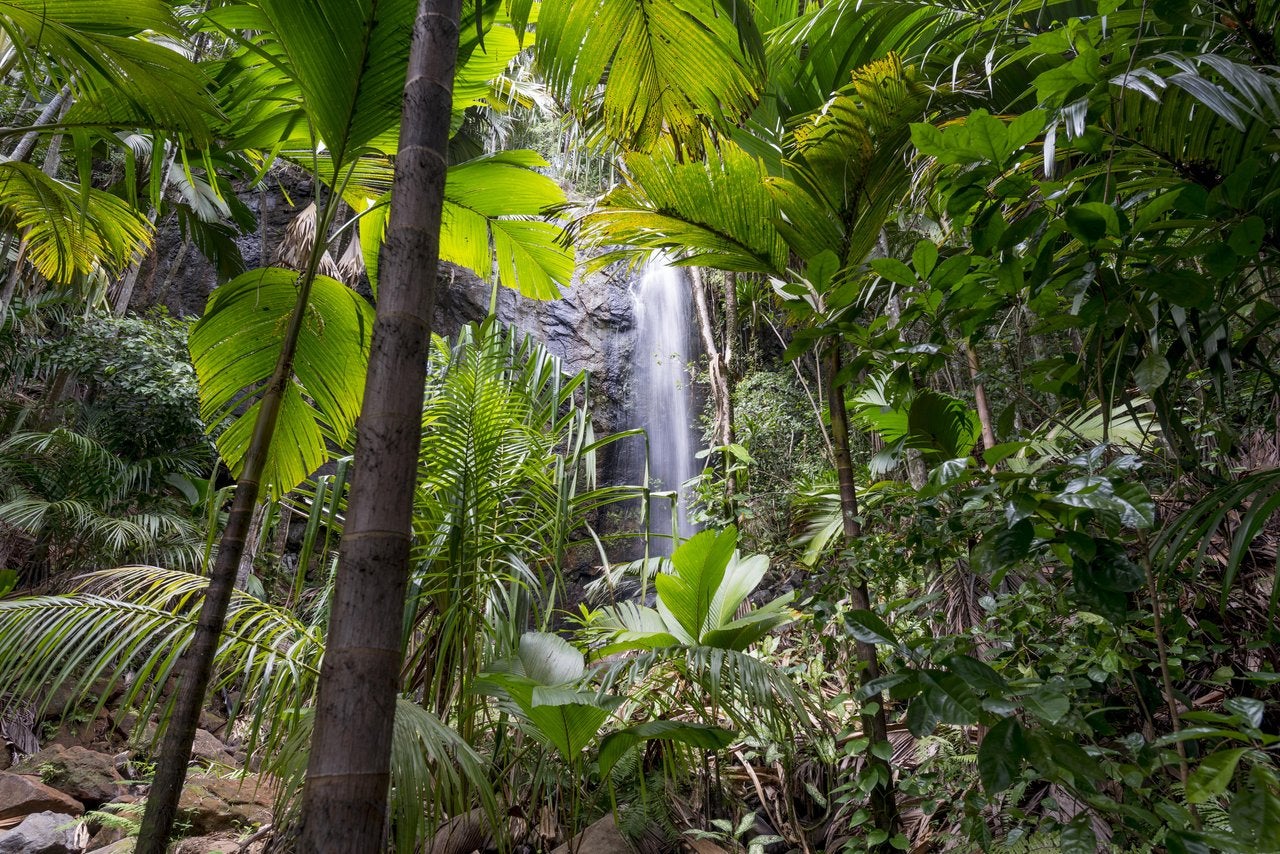 Praslin is a UNESCO World Heritage Site and a must-visit for nature lovers