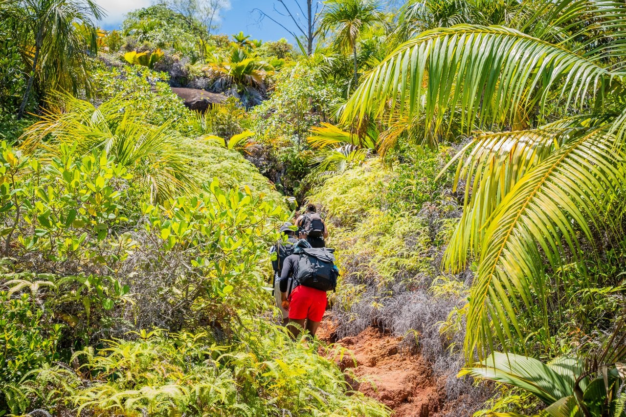 Slow things down on Silhouette Island, where quiet beaches abound and the national park makes for some unforgettable hiking