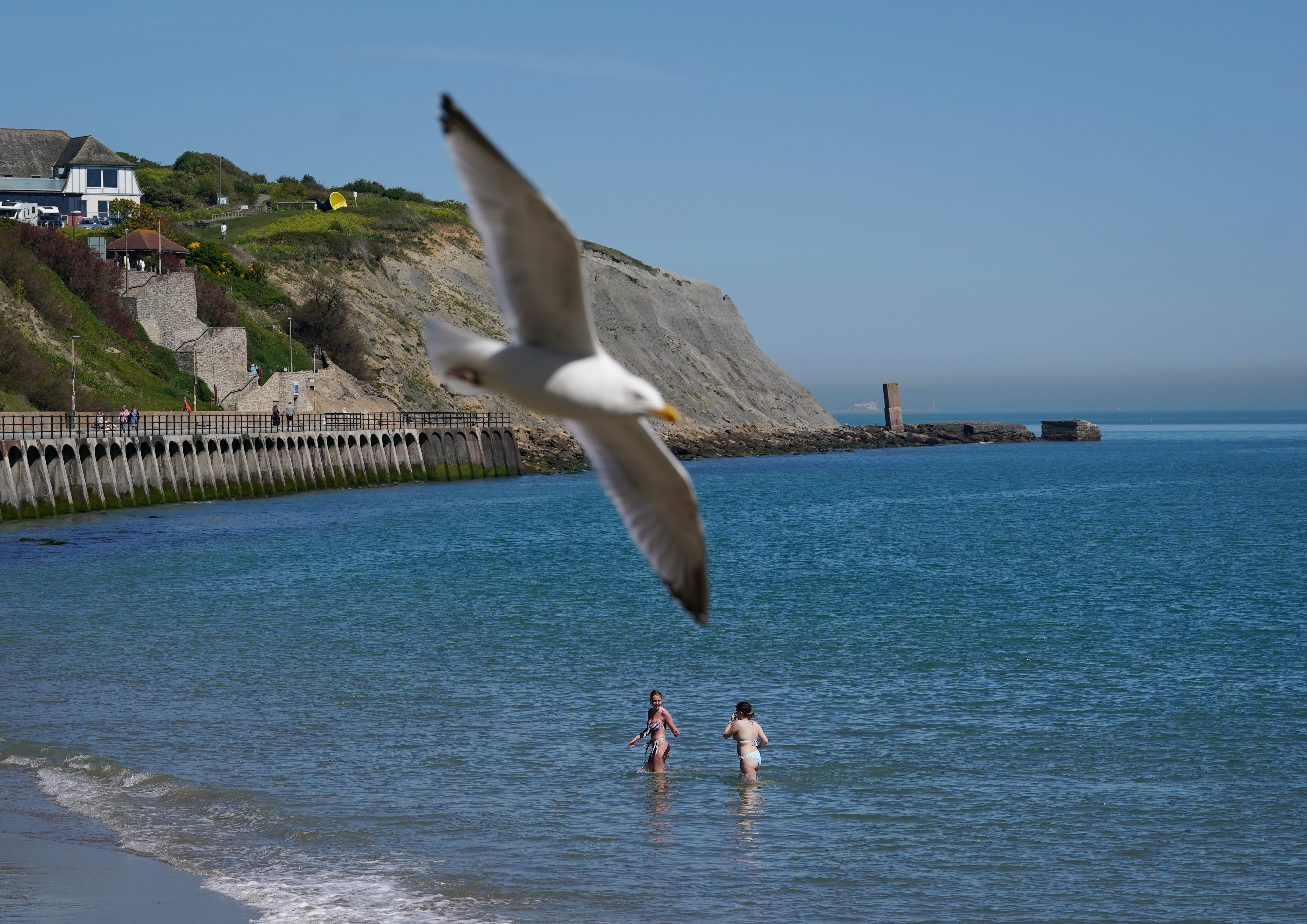 Hot weather has arrived in the UK. How will it impact your brain function?
