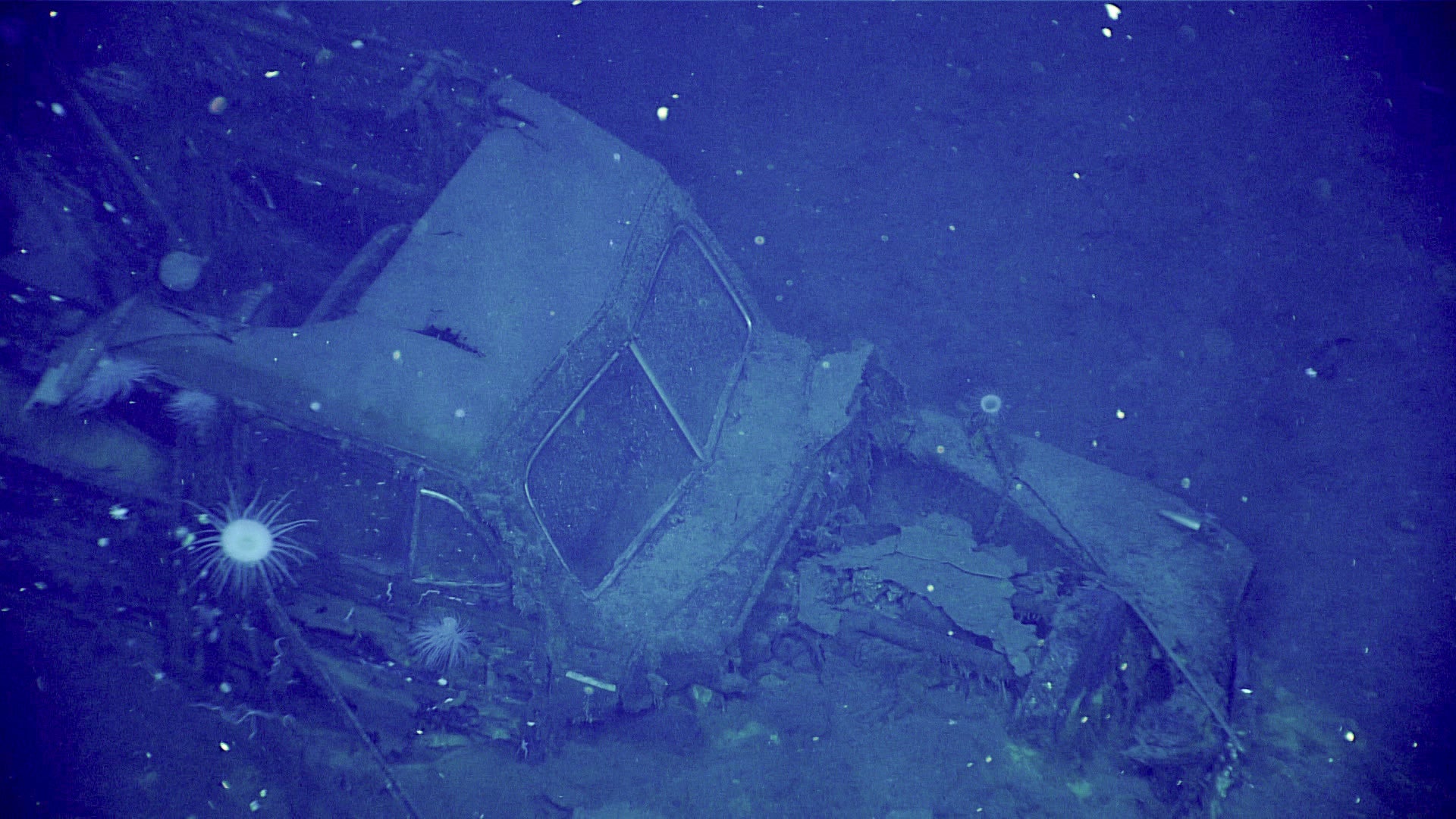 NOAA researchers believe they found a 1940-41 Ford Super Deluxe Woody in the hangar deck of USS Yorktown. Visible in this image are rectangular rear windows, chrome detail on the fenders, a split windshield, parking lights above the headlights, and a chrome bumper