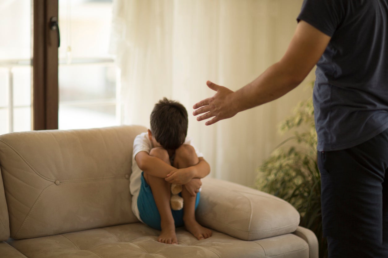 Experts in child development will tell MPs in Westminster that children may struggle to maintain friendships, enjoy pleasure if they experience verbal abuse from adults such as parents, teachers and activity leaders.