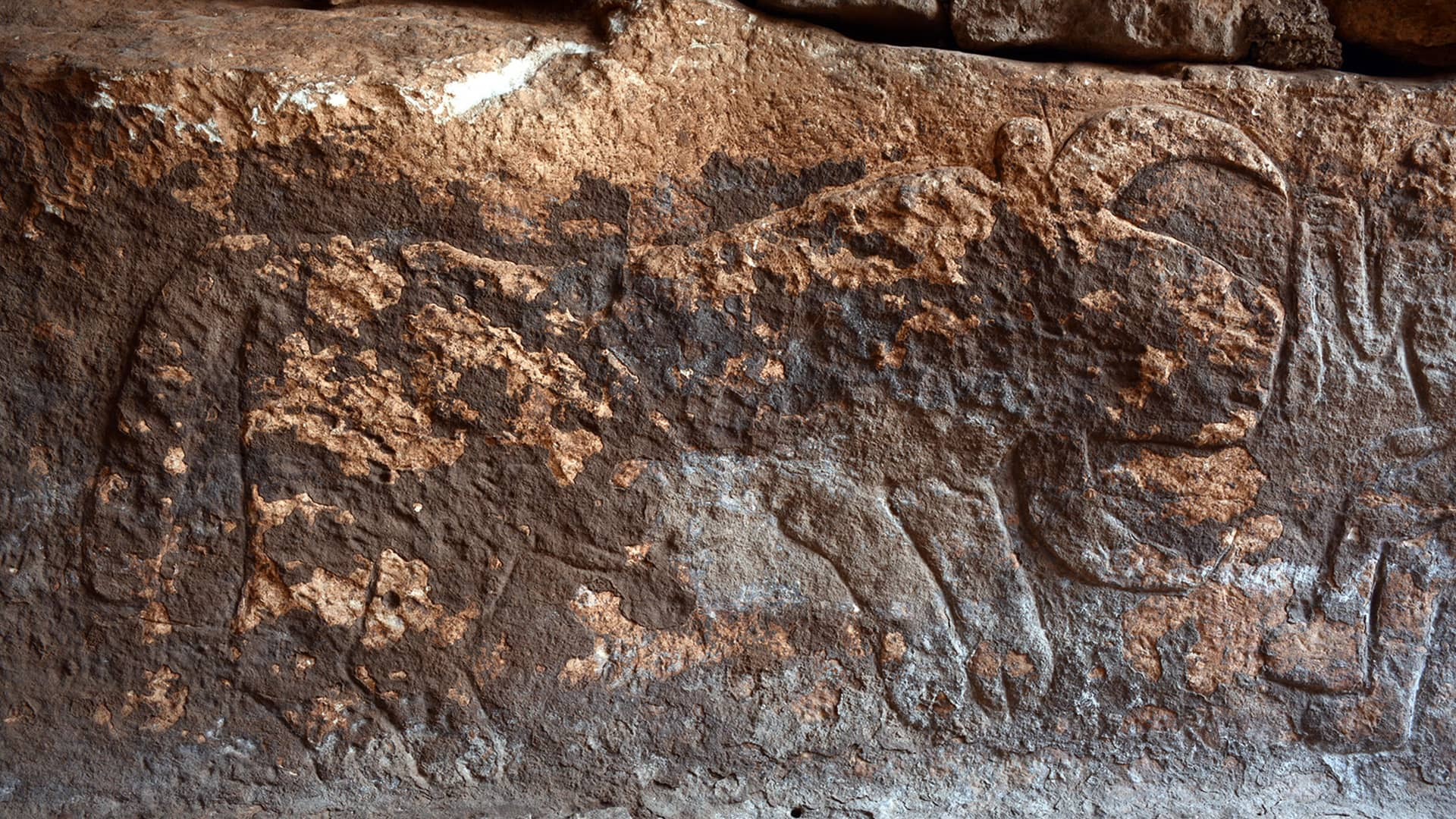 11,000 year old portrait of a giant bull at Sayburç, Southeast Turkey (credit line: Go Türkiye)