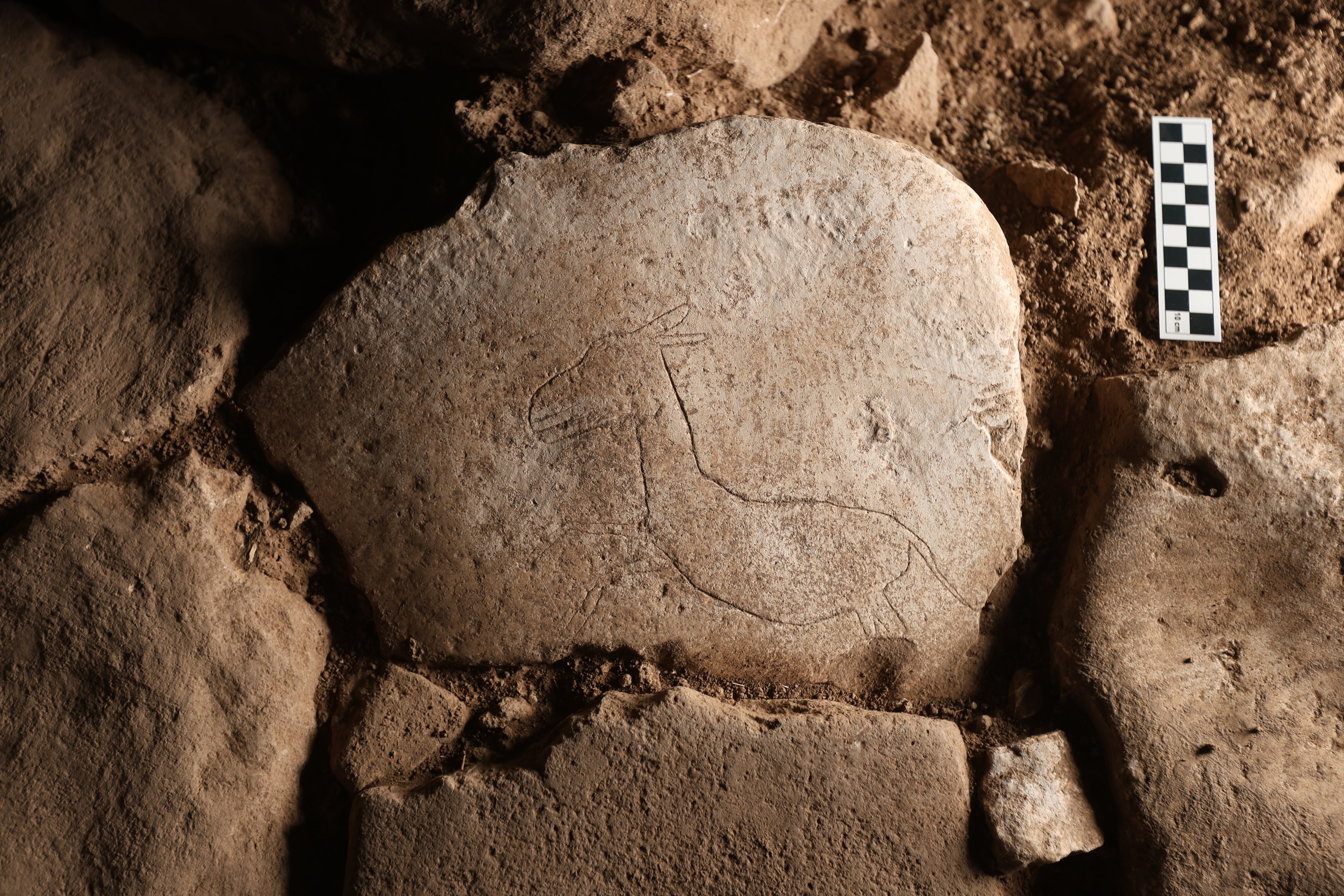 A running wild ass figure found on the floor of a domestic building in Karahantepe