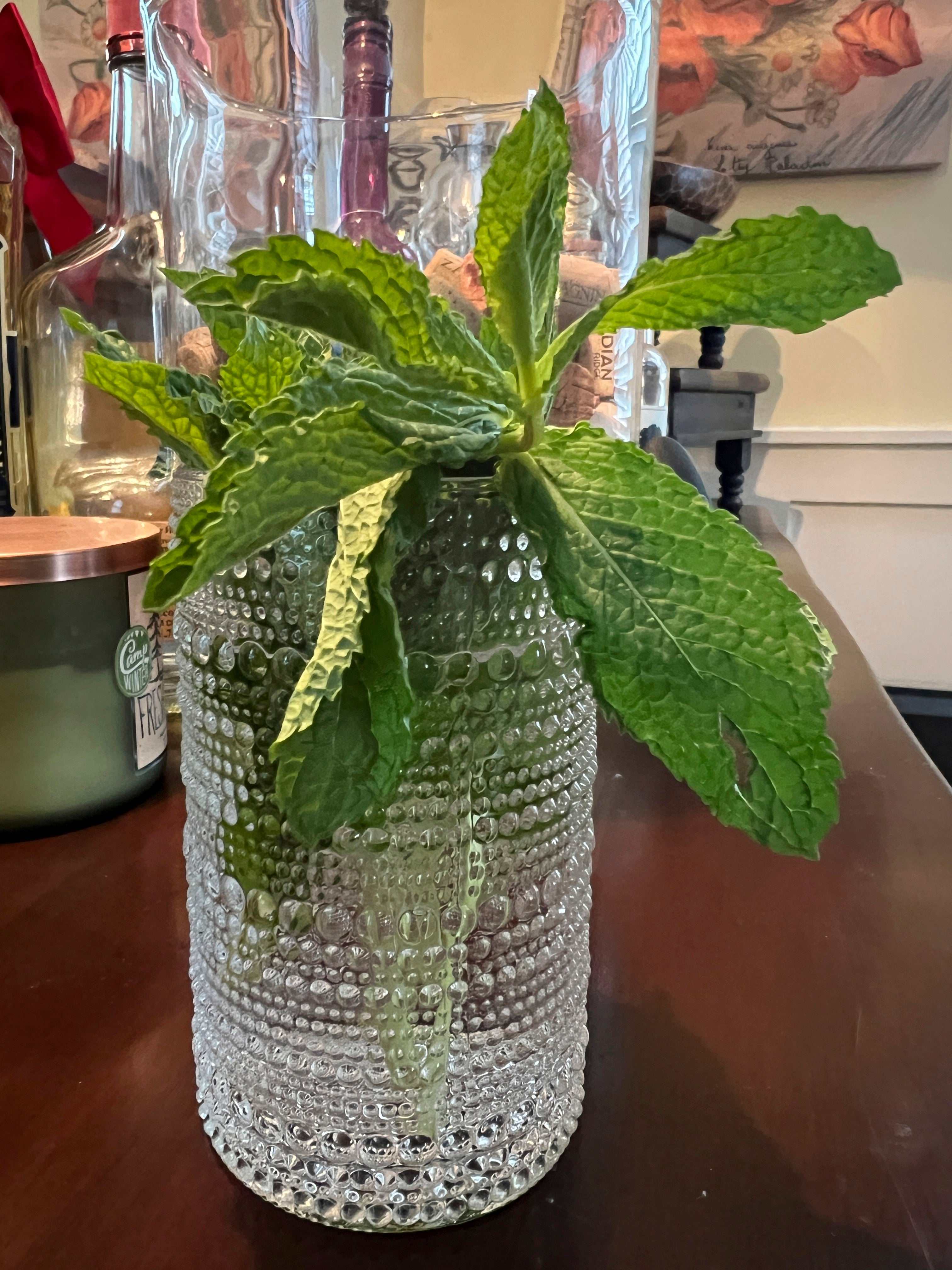 Gardening-Cocktail Ingredients