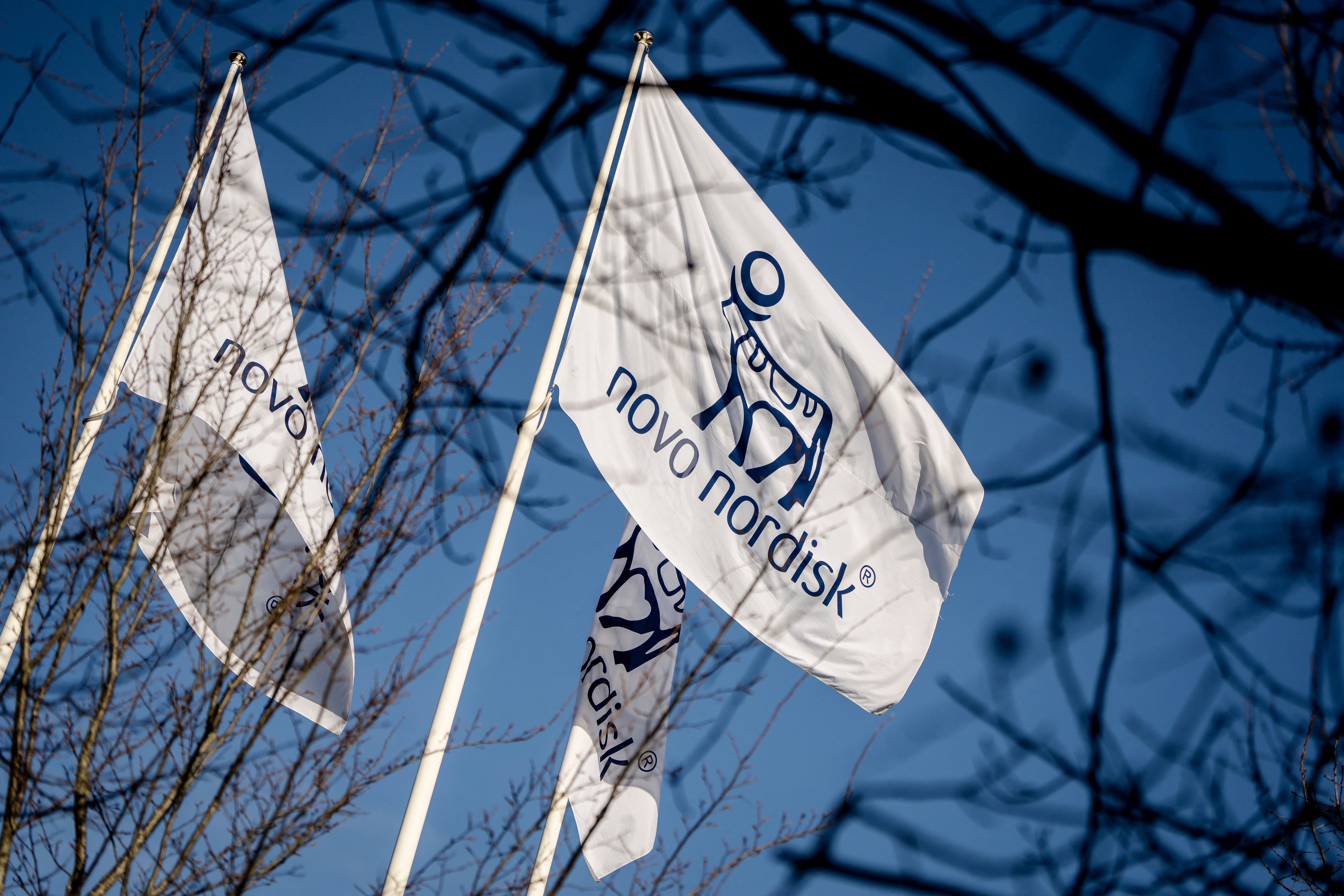 Flags with the logos of Danish drugmaker Novo Nordisk, maker of the blockbuster diabetes and weight-loss treatments Ozempic and Wegovy