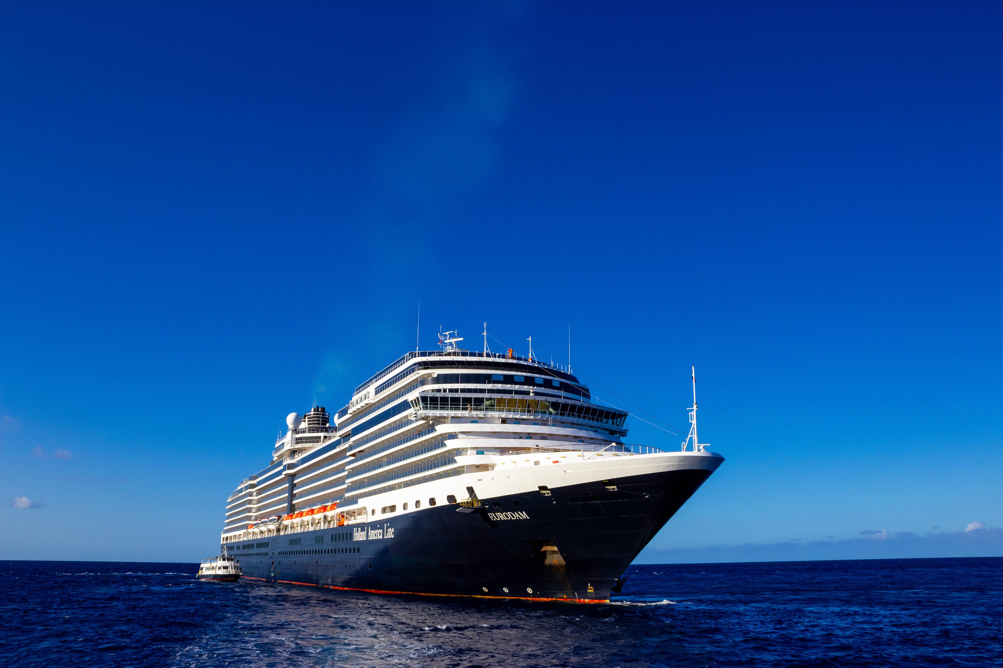 New ‘dominant’ strain of norovirus sparking outbreaks on cruise ships