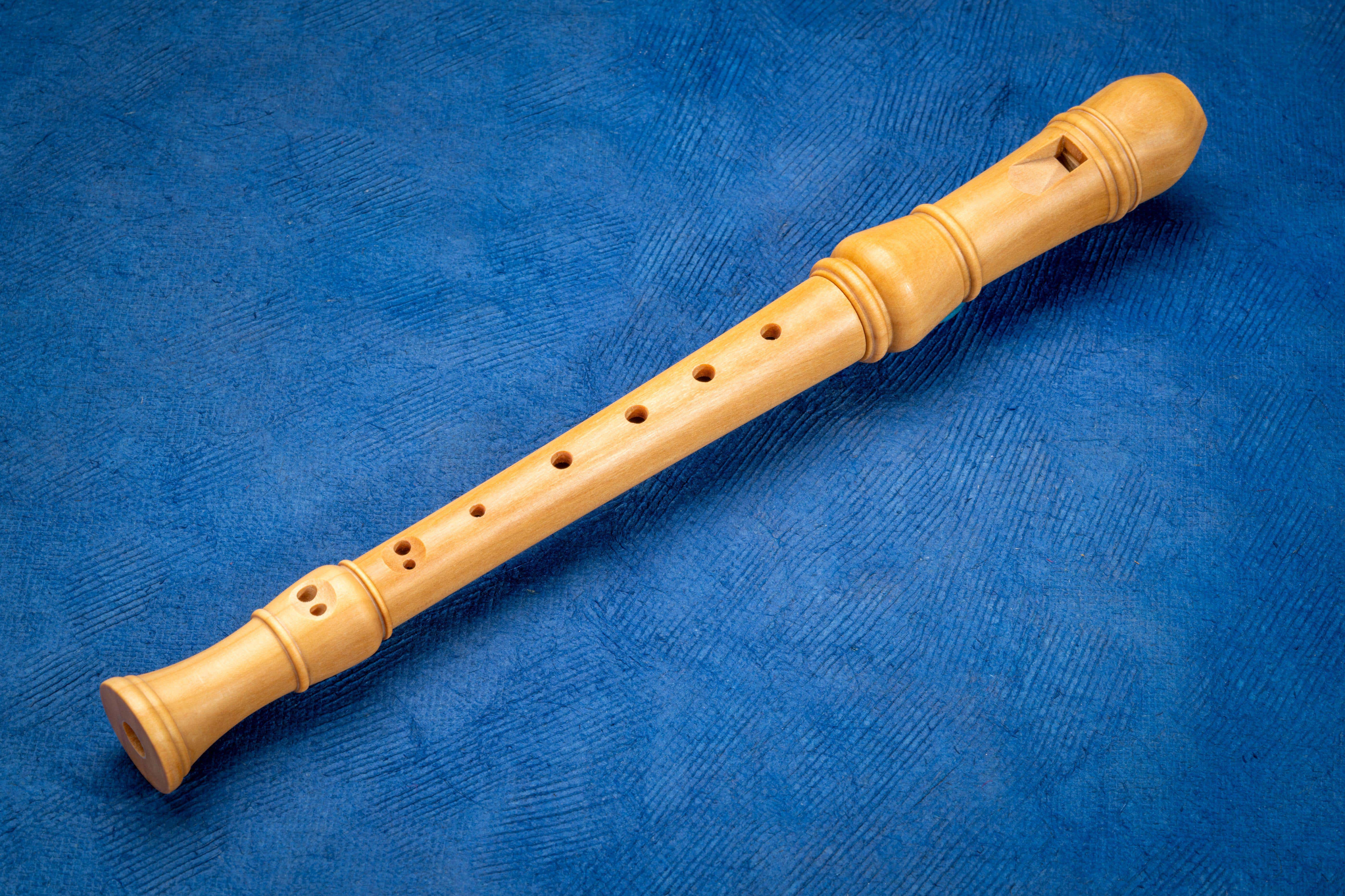 A new report suggests only around one in six children now learns the recorder after a decline in its popularity over the past decade(Marek Uliasz/Alamy/PA)